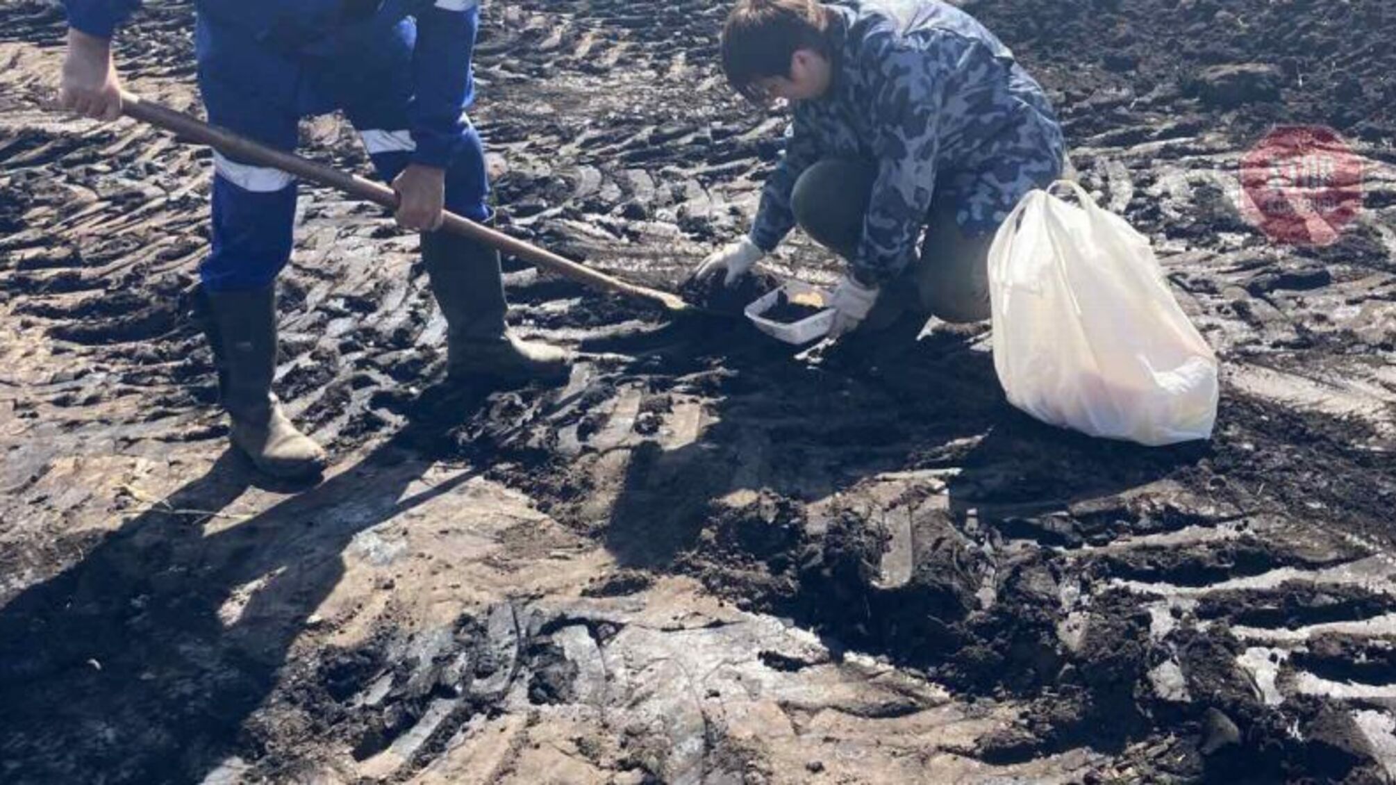 На Сумщине произошел разлив нефти