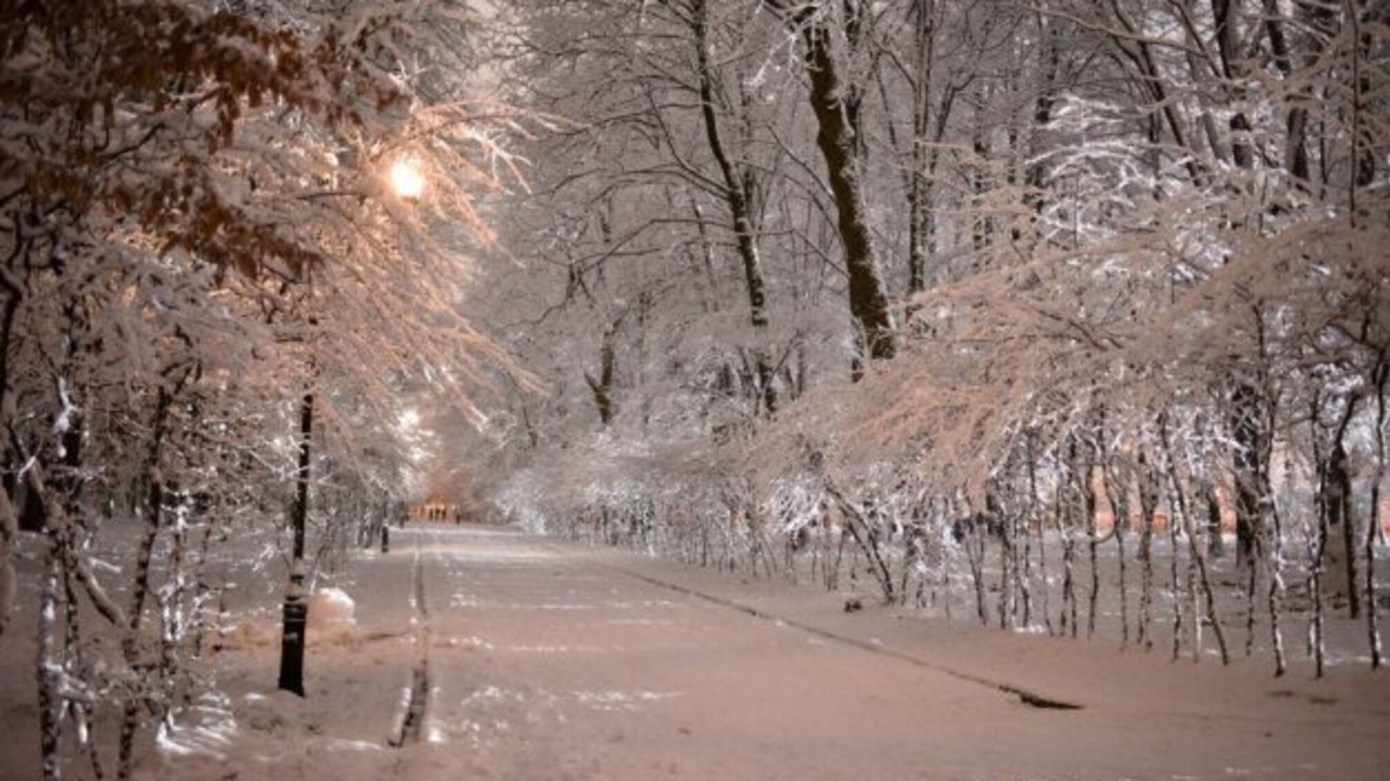 В Україну йдуть снігопади та мороз
