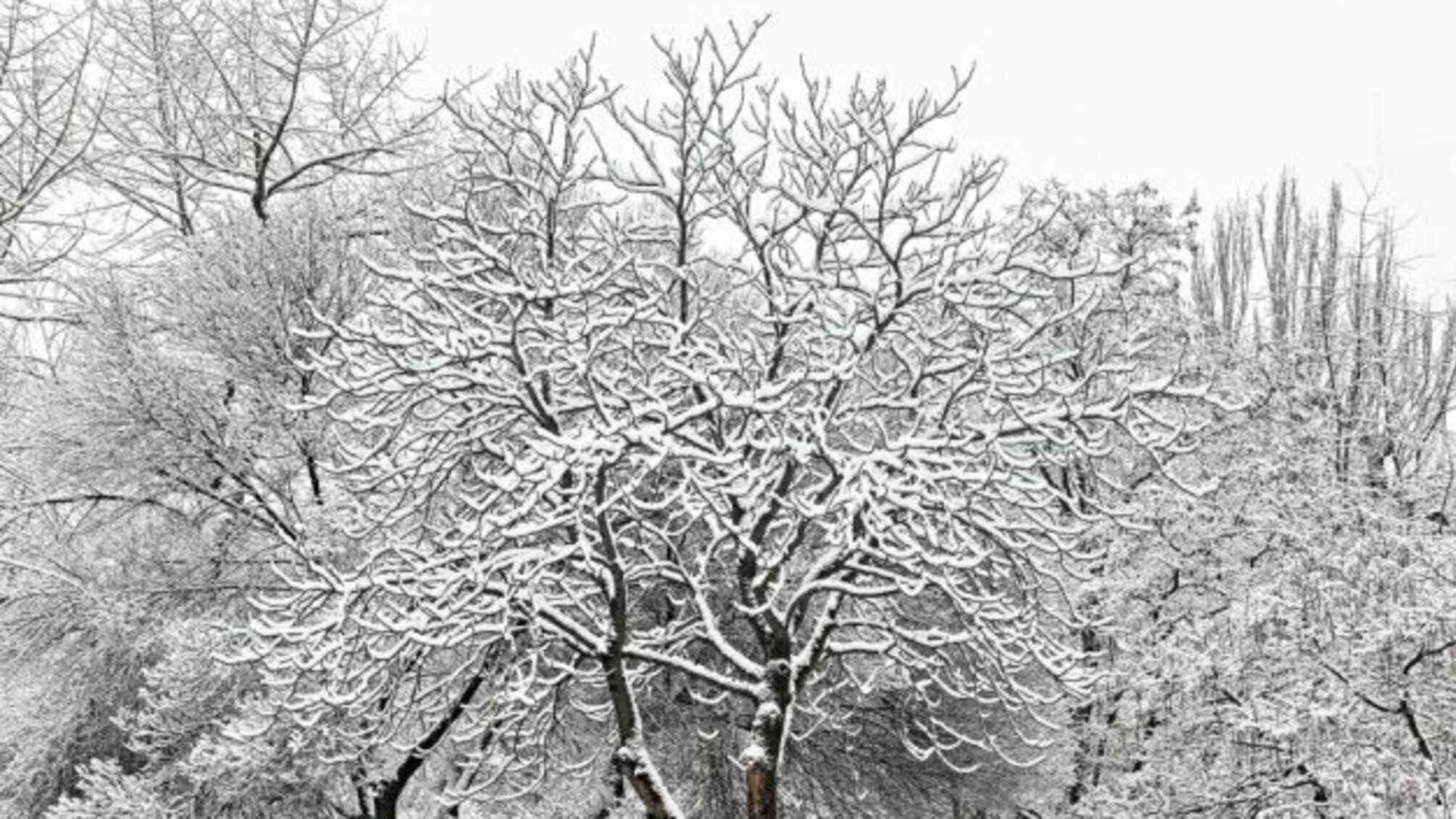 Україну підморозить до -19°, потім буде відлига