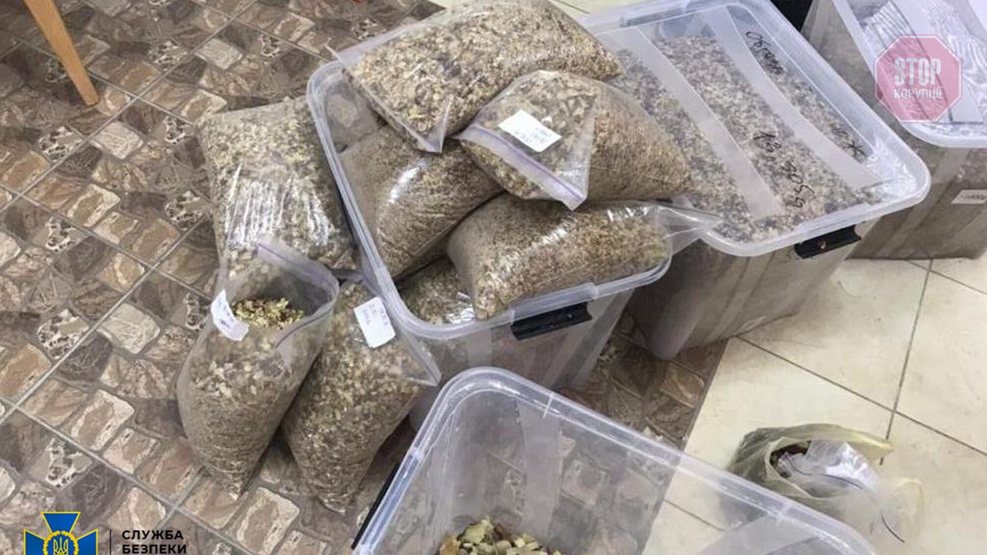 Бурштинова схема: на Житомирщині СБУ викрила розкрадачів сонячного каменю, активісти кажуть про систему