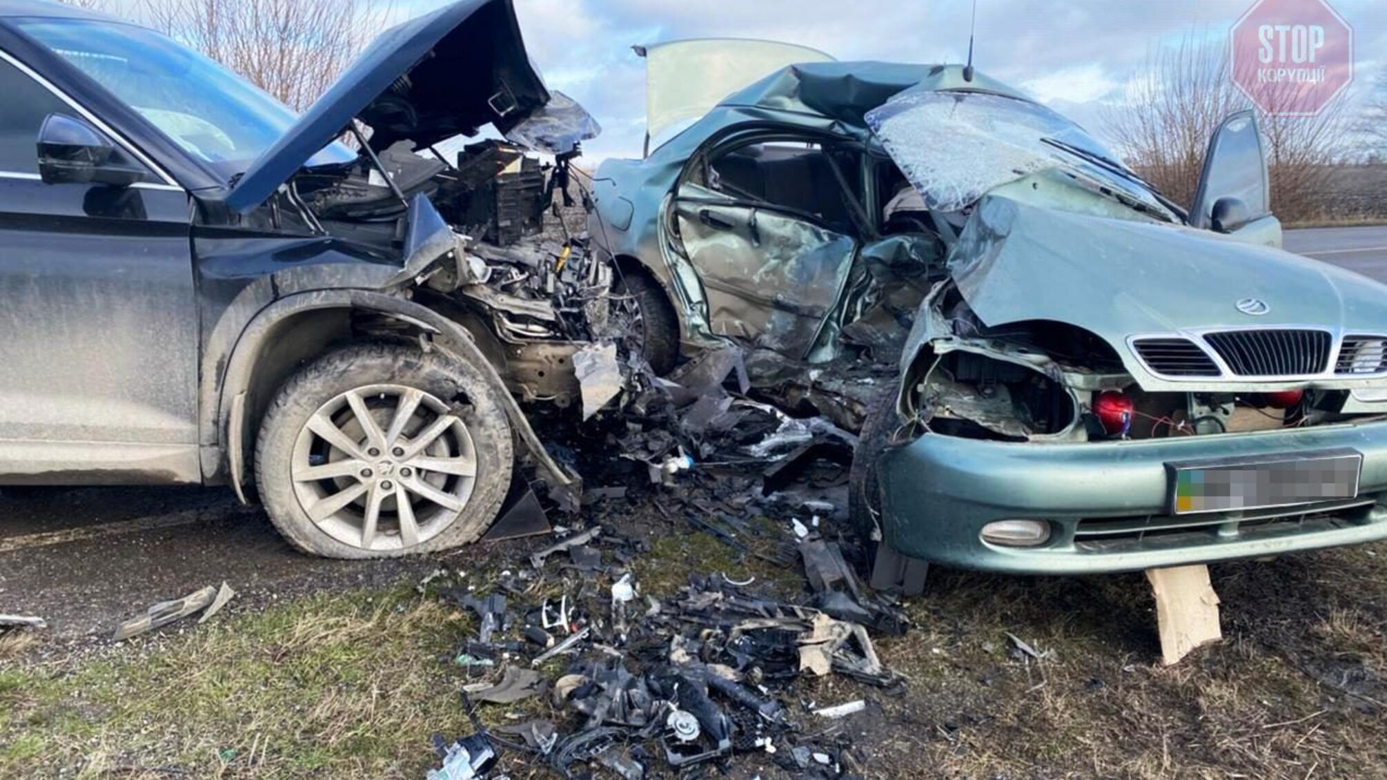 На Запоріжжі сталася жахлива ДТП, внаслідок якої загинуло подружжя (фото)