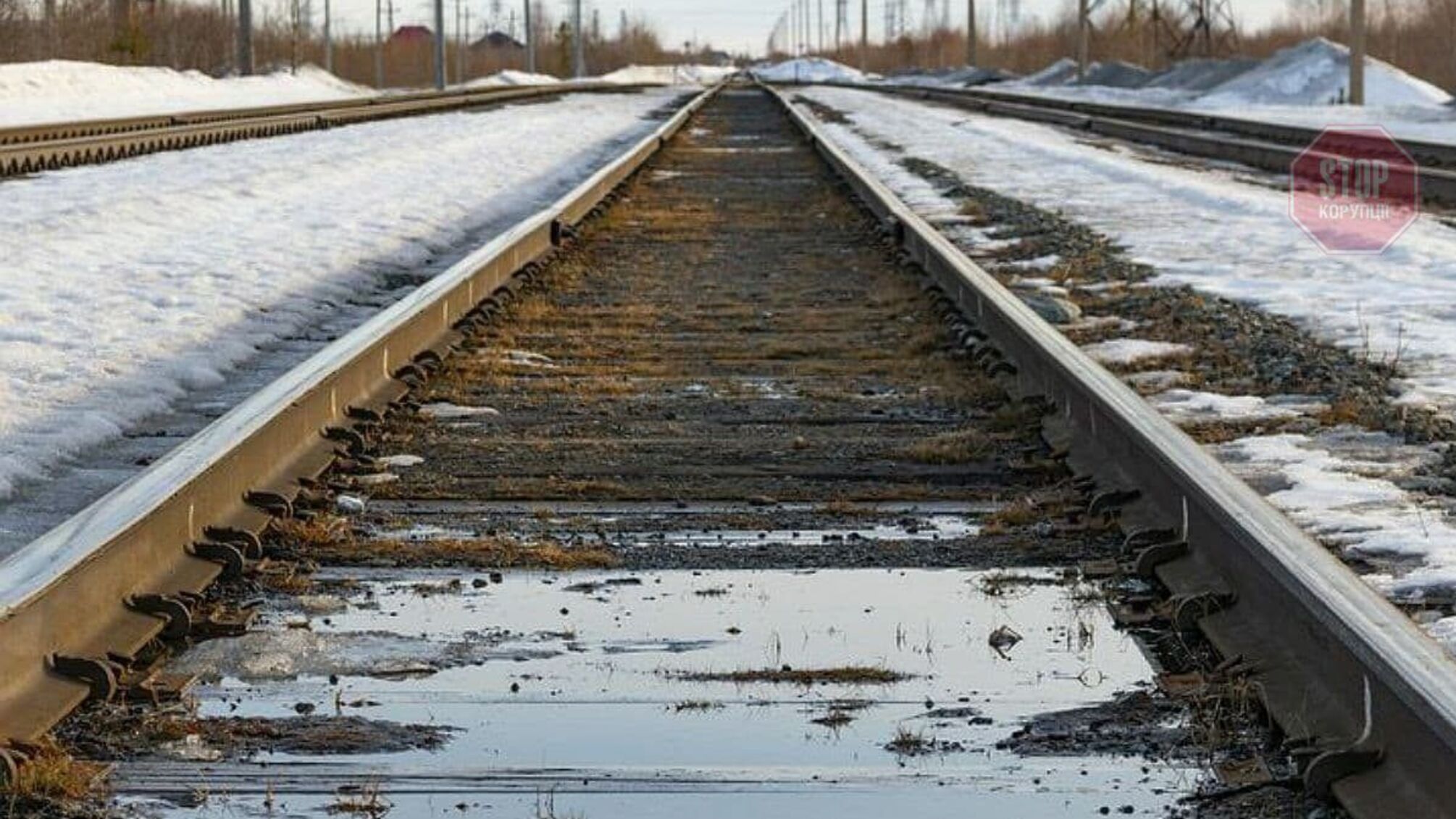 На Львовщине поезд сбил двух человек