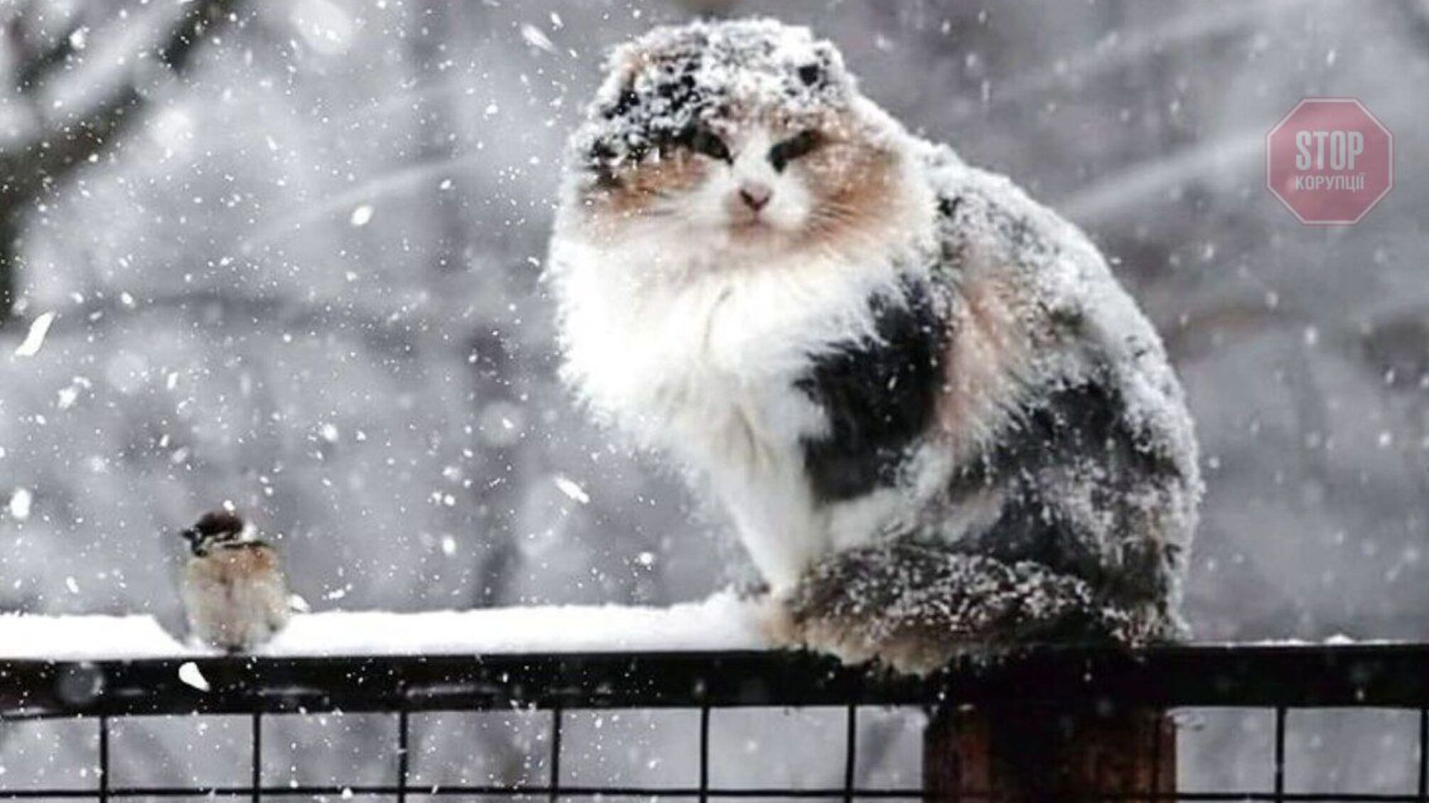 Прогноз погоды на выходные 22–23 января