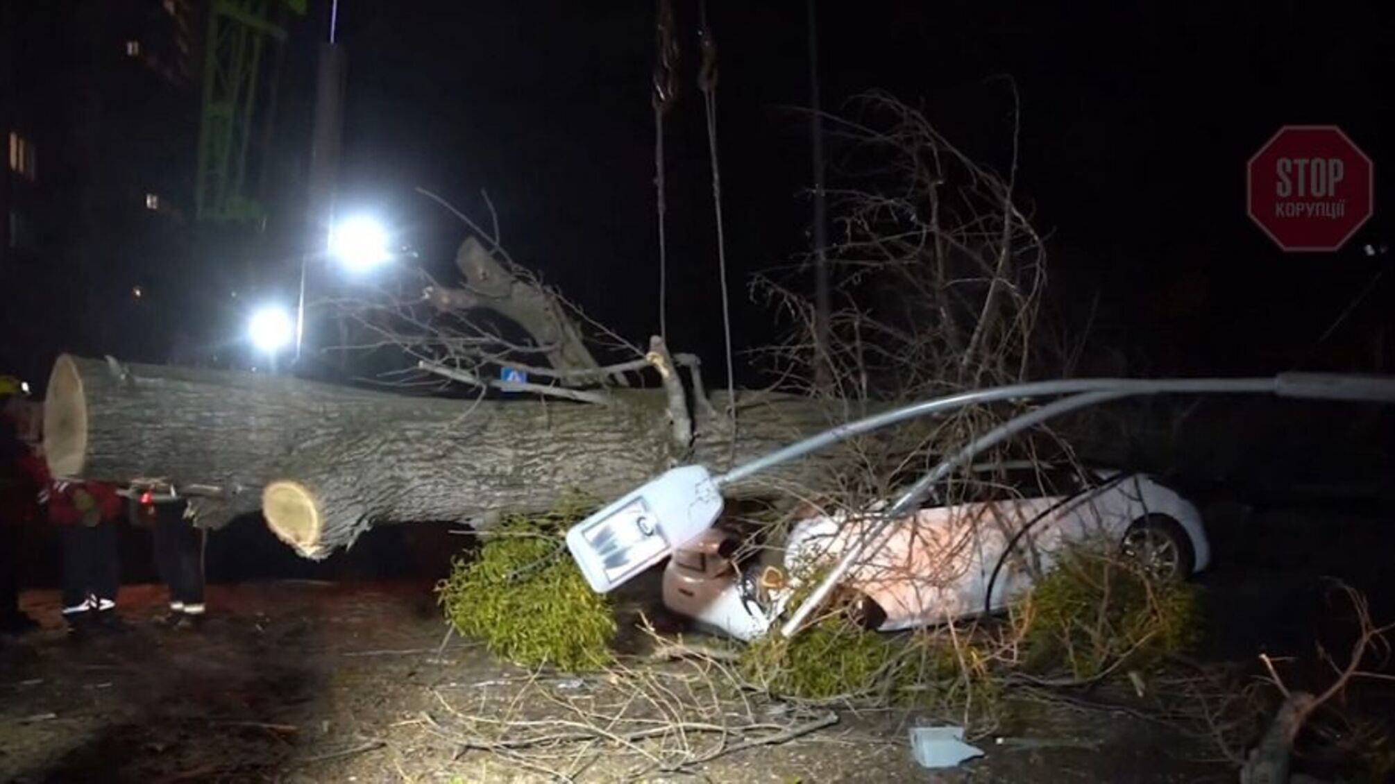 В Киеве дерево раздавило автомобиль, есть погибший (видео)