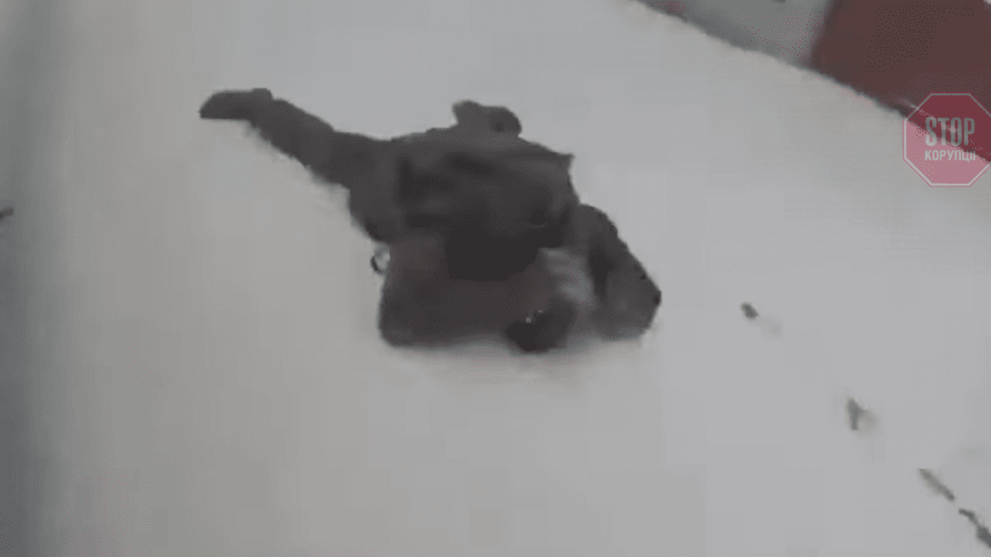 МВД опубликовало видео задержания нацгвардейца, который убил пятерых человек