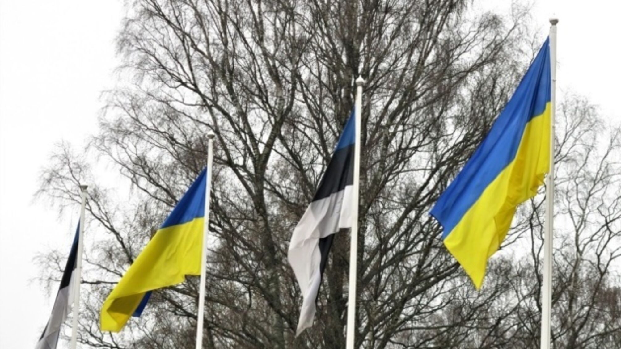 Эстония Украина