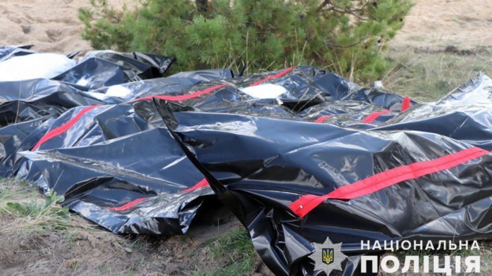 600 тел погибших эксгумировали в Харьковской области после деоккупации