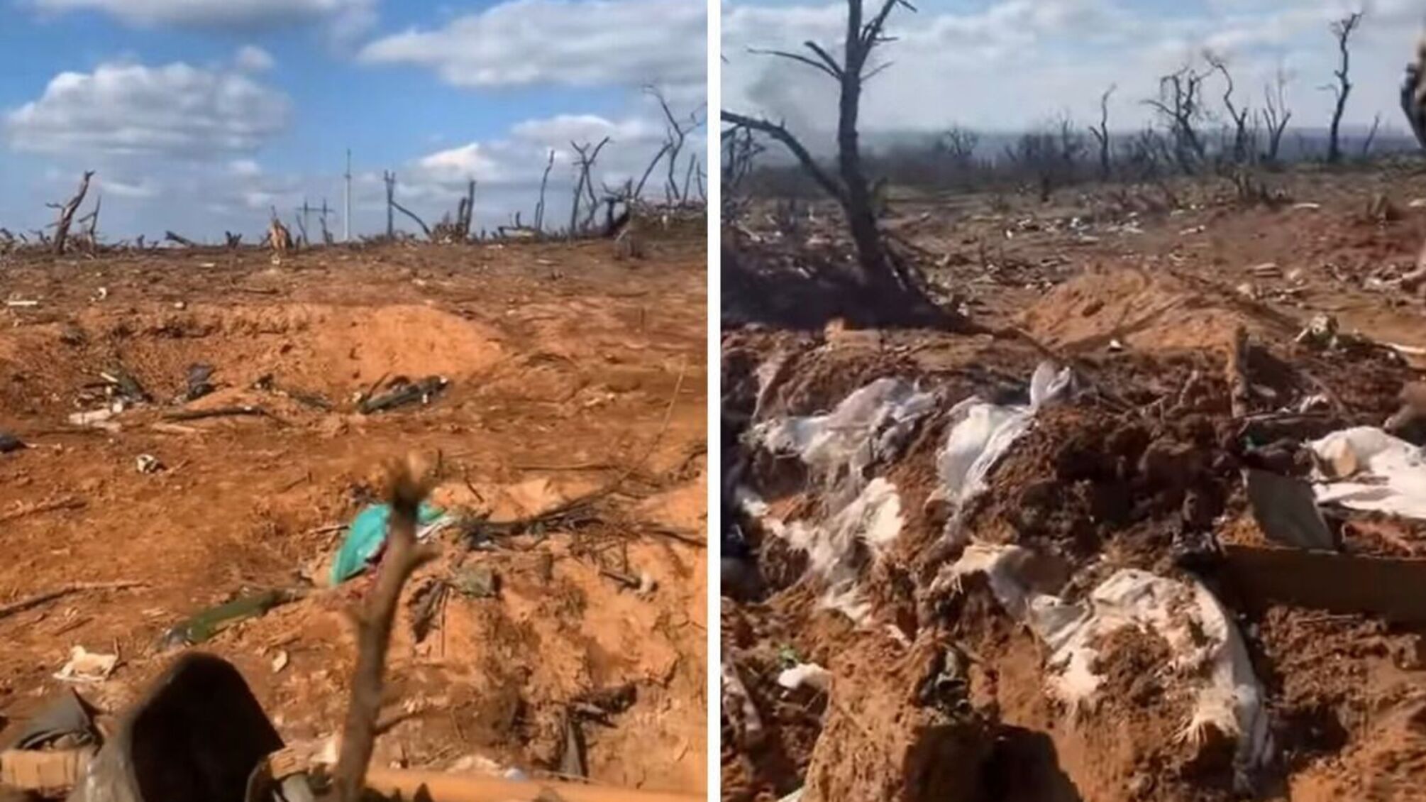 Дерева, знищені на лінії боїв Бахмут-Соледар на Донеччині