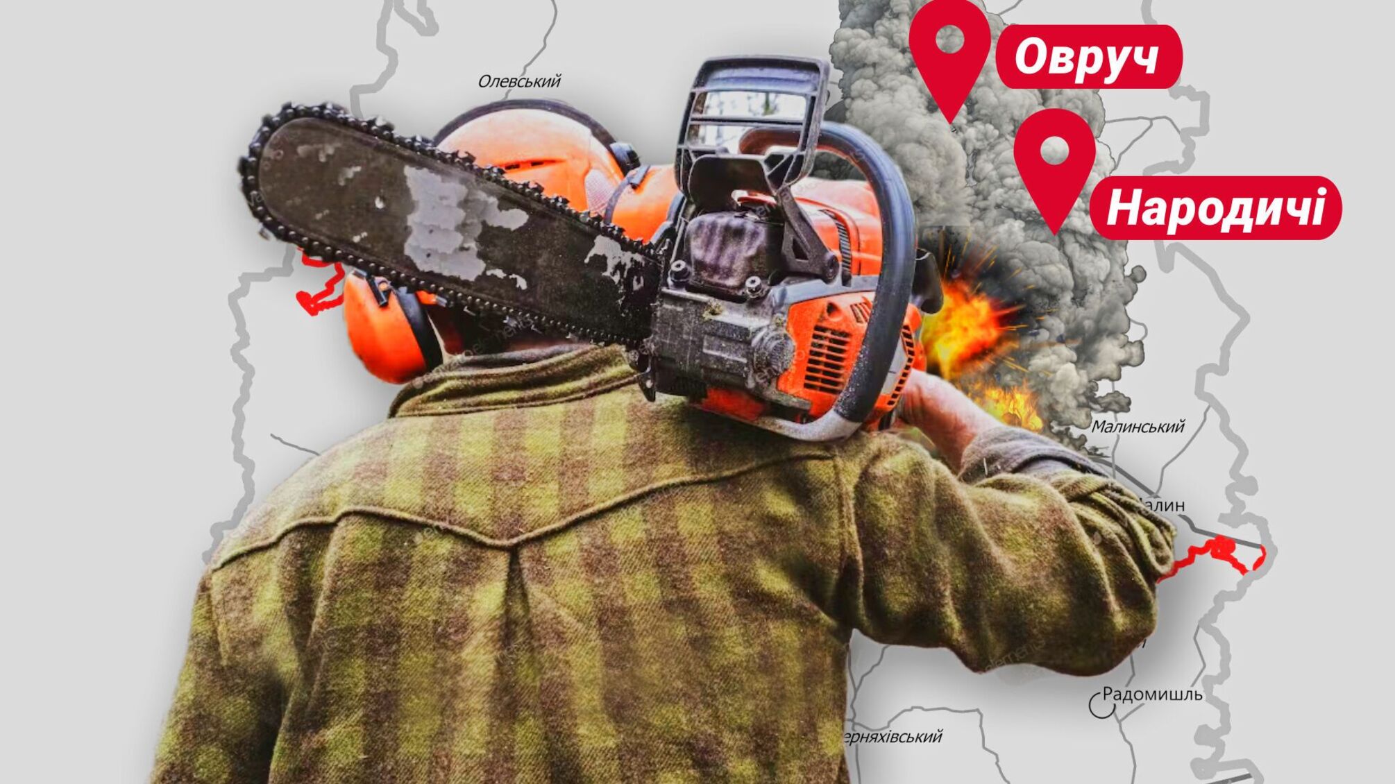 Во время войны работают 'черные' схемы продаж древесины.