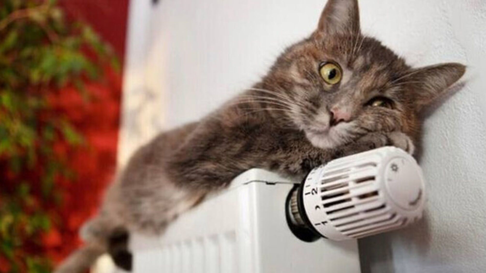 20 жовтня у київських домівках ввімкнуть теплі батареї