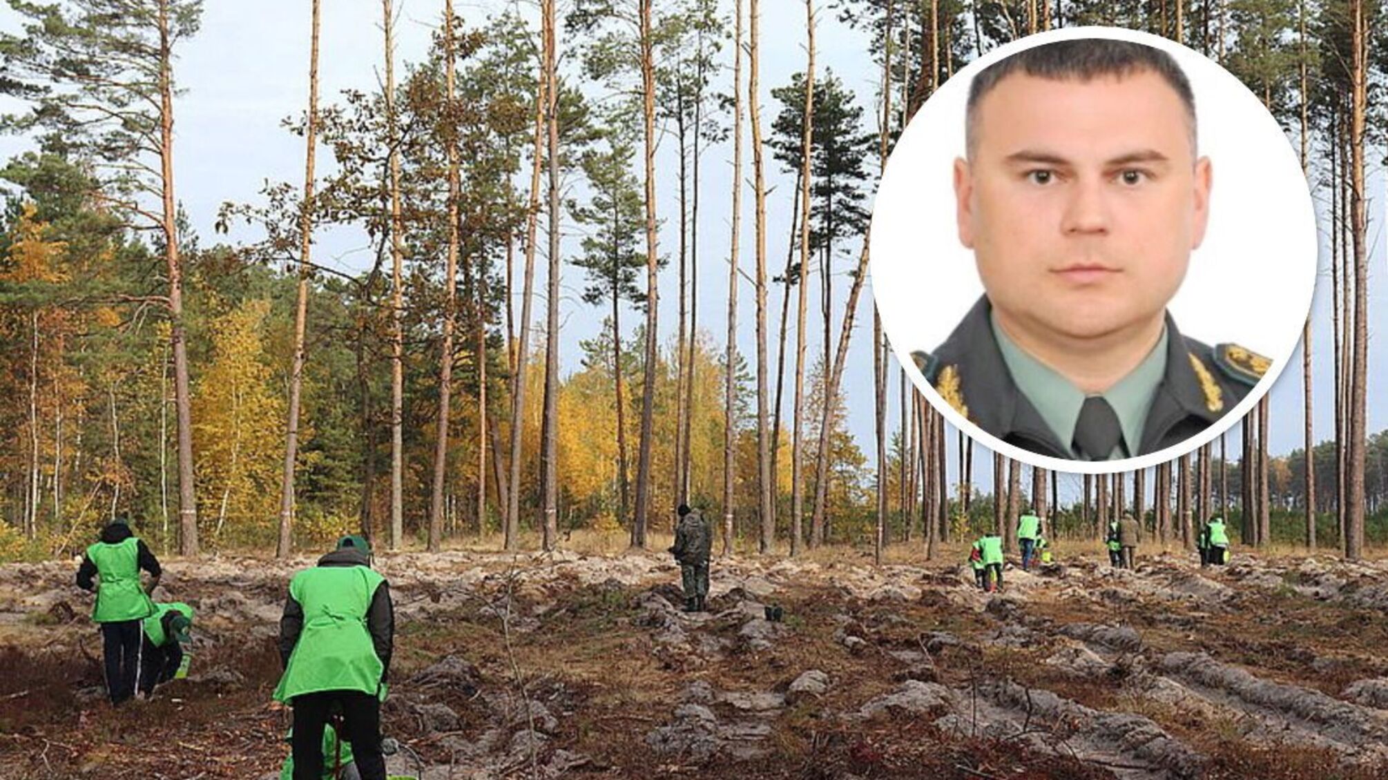 На Житомирщині 'лісові' тендери виграли бізнесмени з колишньої вотчини чинного начальника