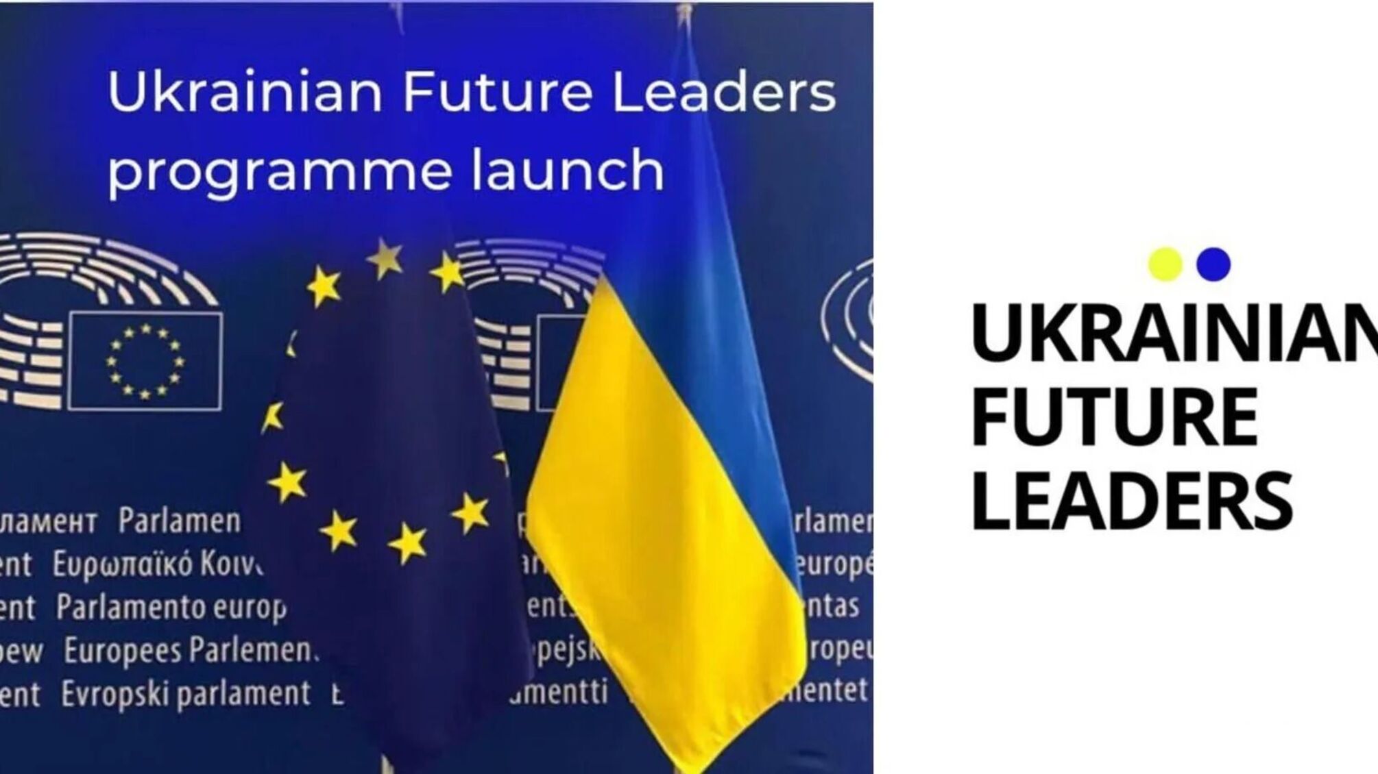 В Брюсселе стартовала программа Ukrainian Future Leaders: украинцы попробуют себя в государственной политике