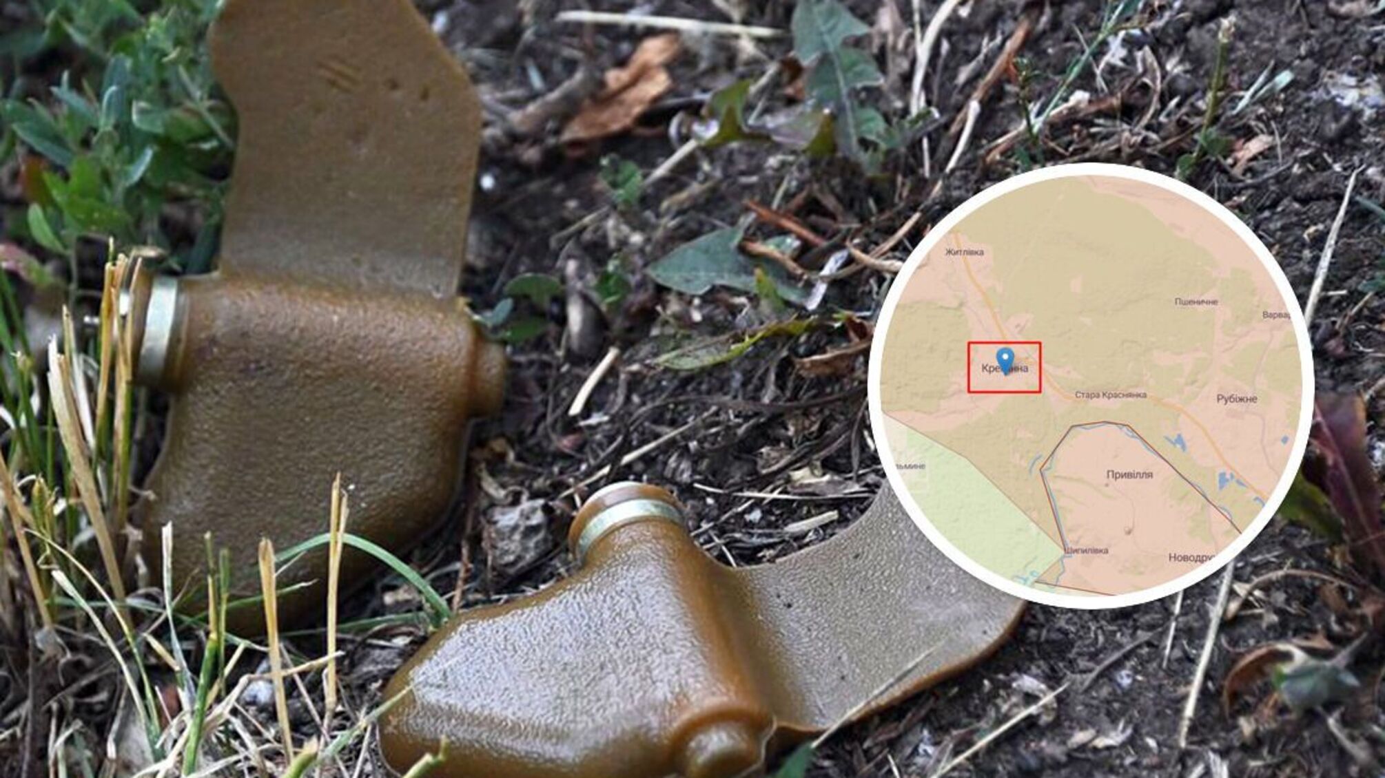 міни-'пелюстки' у Кремінній на Луганщині