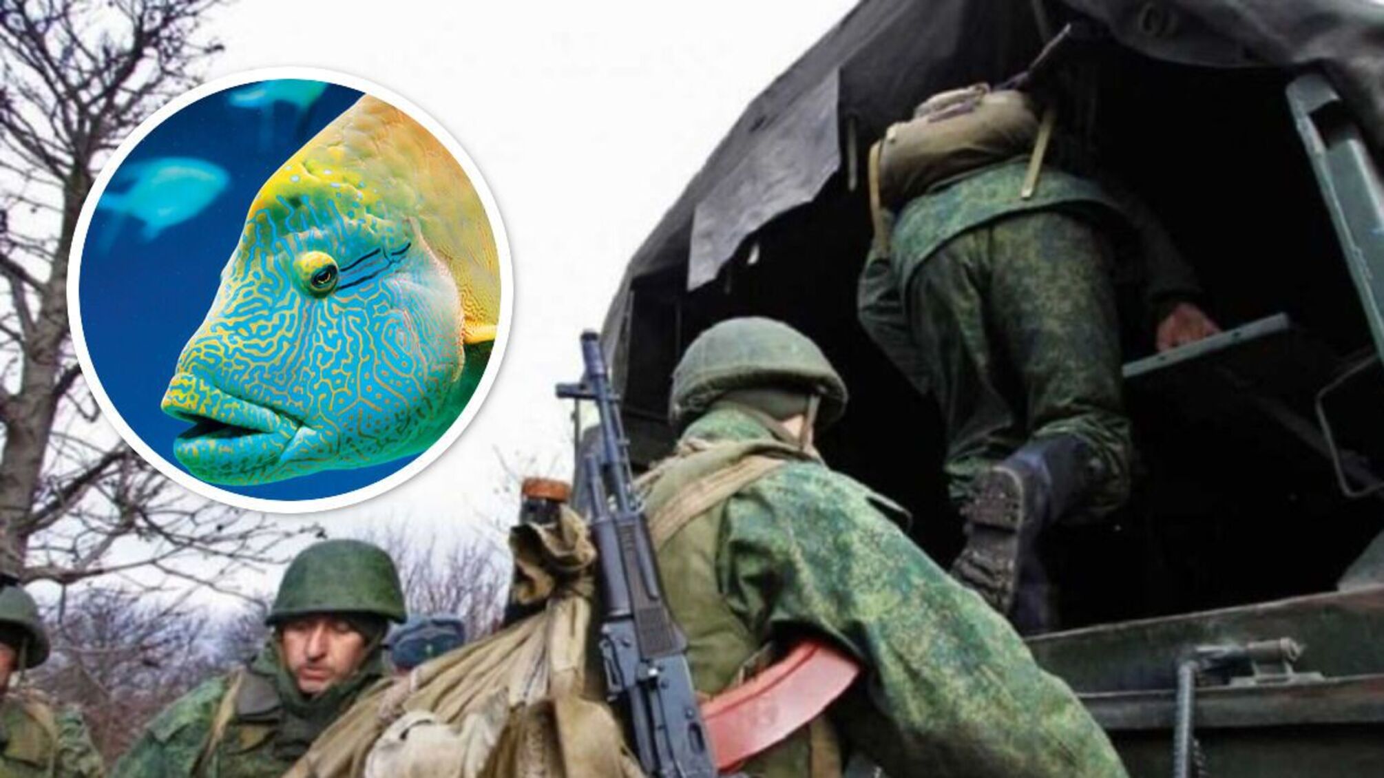 риба мобілізовані росіяни