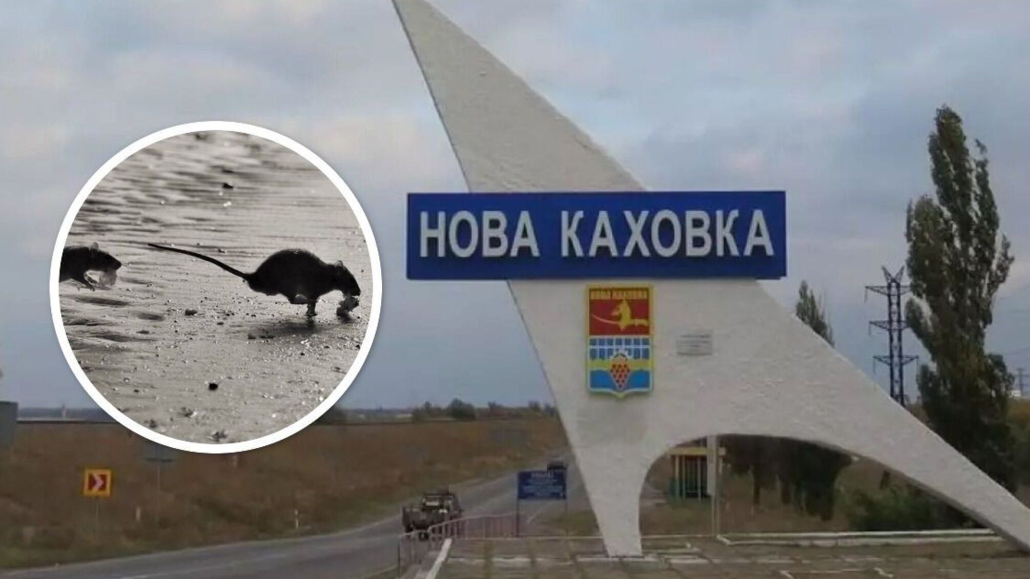 Оккупационные власти бегут из Новой Каховки, стало известно куда они вывезли свои семьи