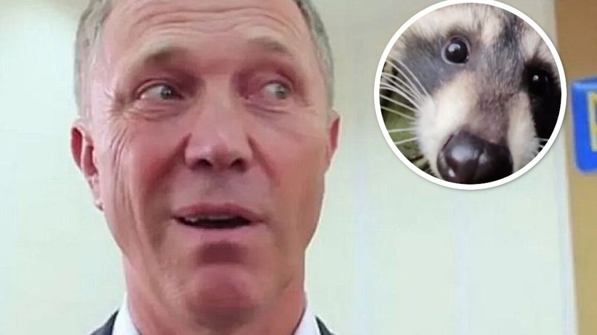 Херсонский енот отомстил предателю Сальдо