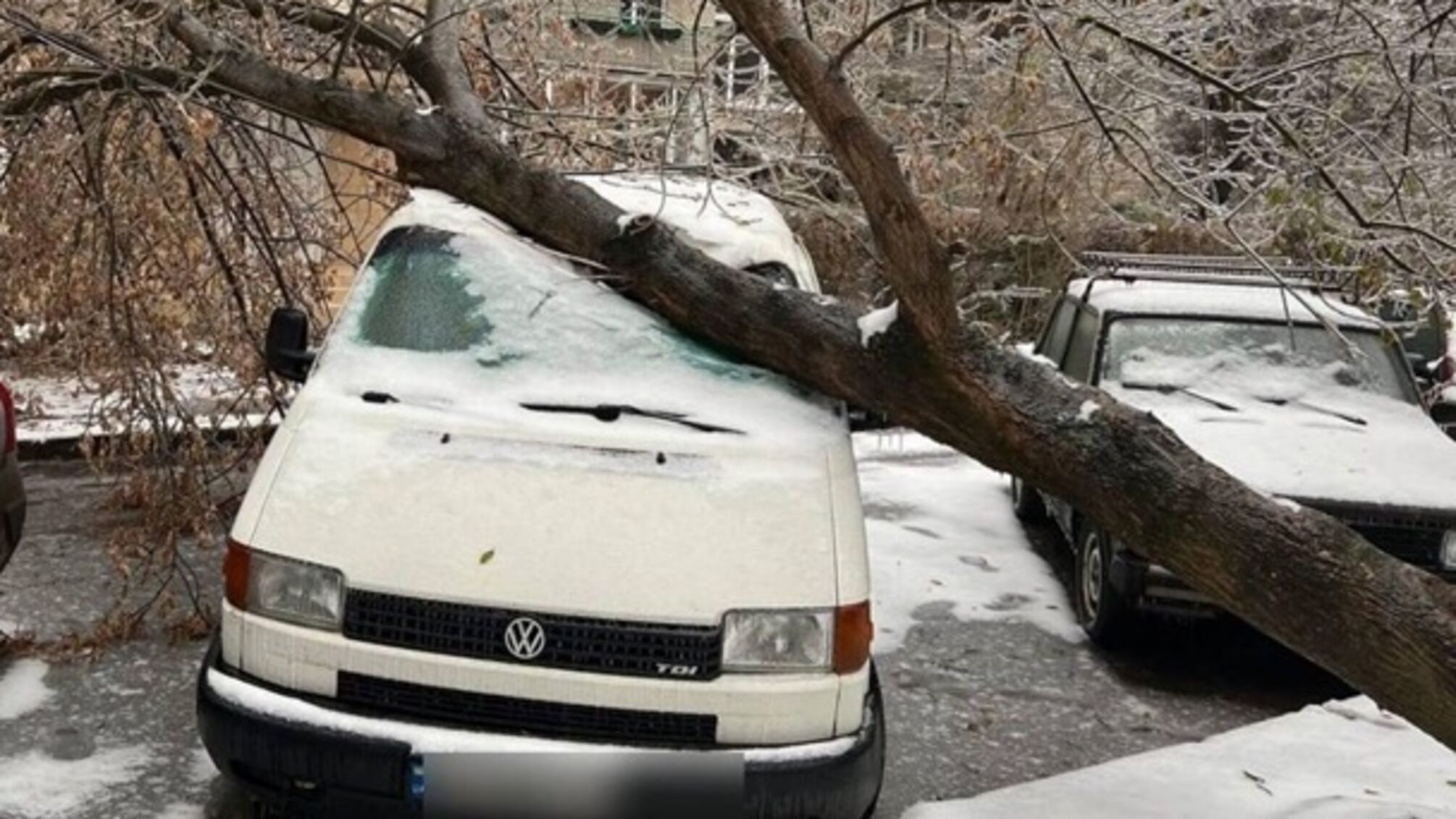 На вулицях міста повалені дерева впали на автівки