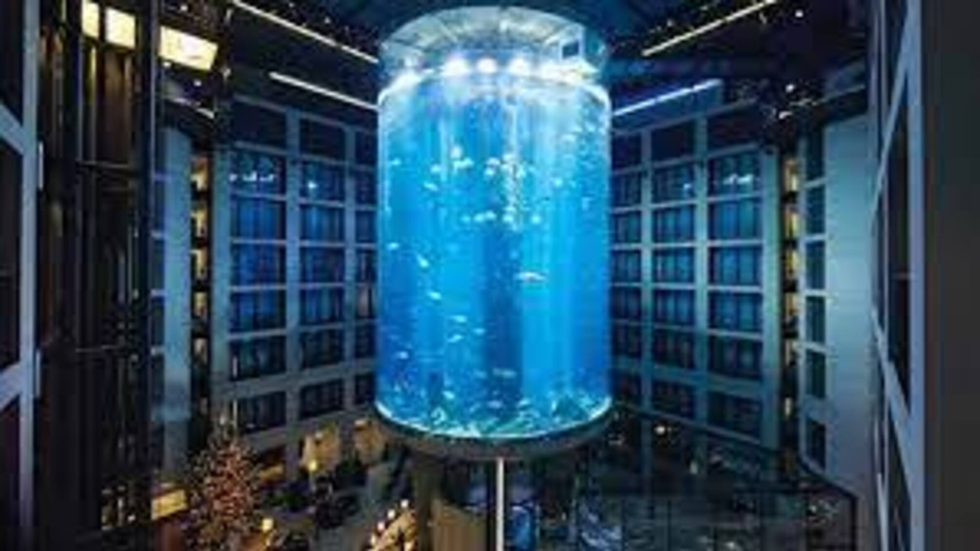 В столице Германии разорвался аквариум с миллионом литров воды (видео, фото)