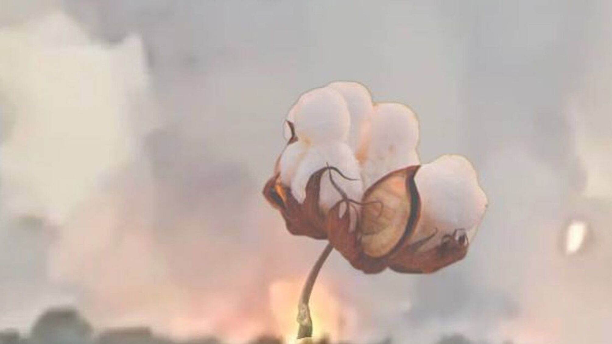 'Бавовна' в Крыму: беспилотники атаковали нефтебазу