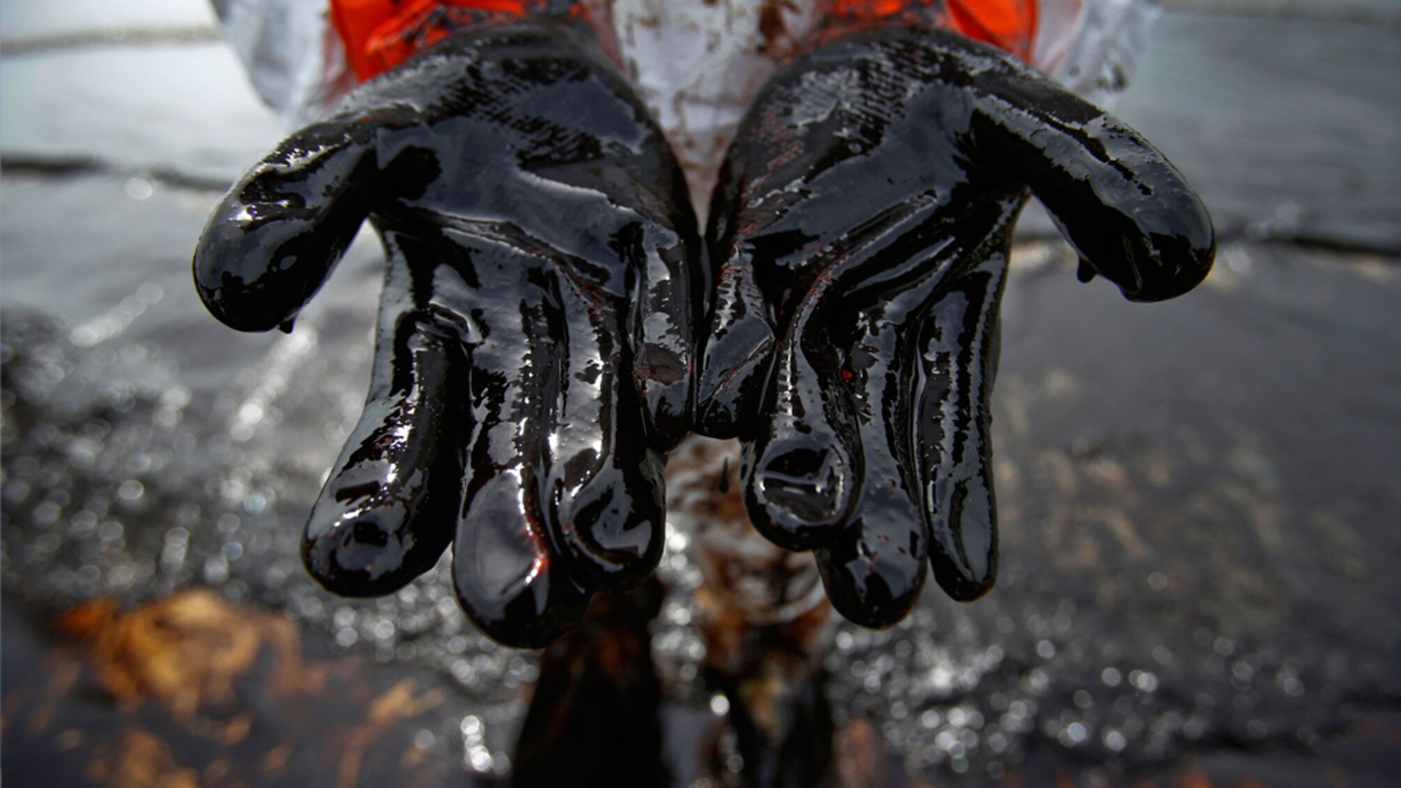 Екологічне лихо: вода в Дністрі забруднена нафтою, норма перевищена у 200 разів  (фото)