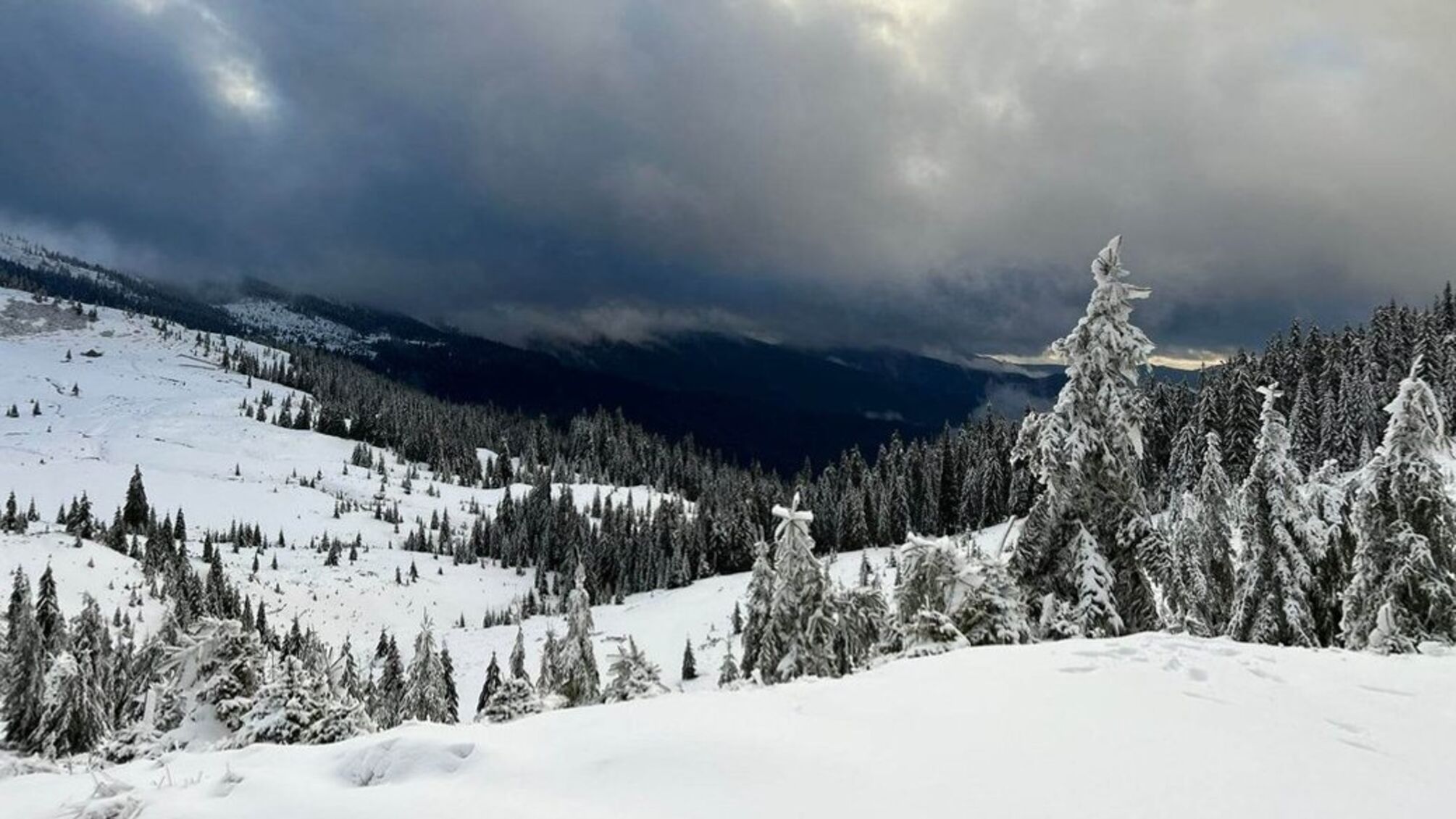 Нелегально перетнув кордон і вмер: у горах Румунії знайшли мертвим українця