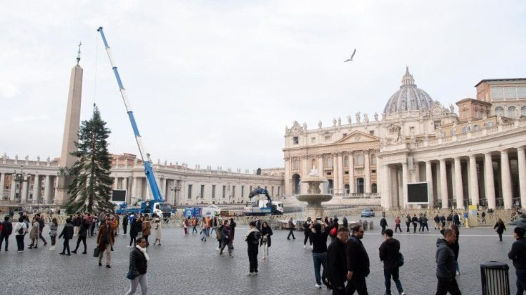 процесс монтажа главной елки на площади Святого Петра в Ватикане