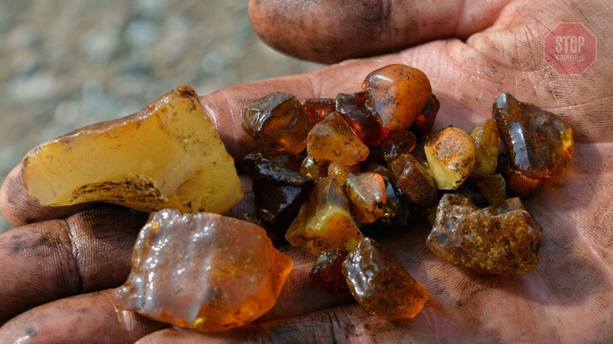 ДБР перевірить, чому СБУ стріляло у копачів бурштину