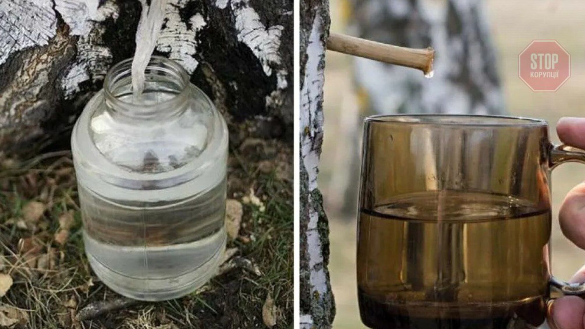 Українці масово розкуповують таблетки для знезараження води