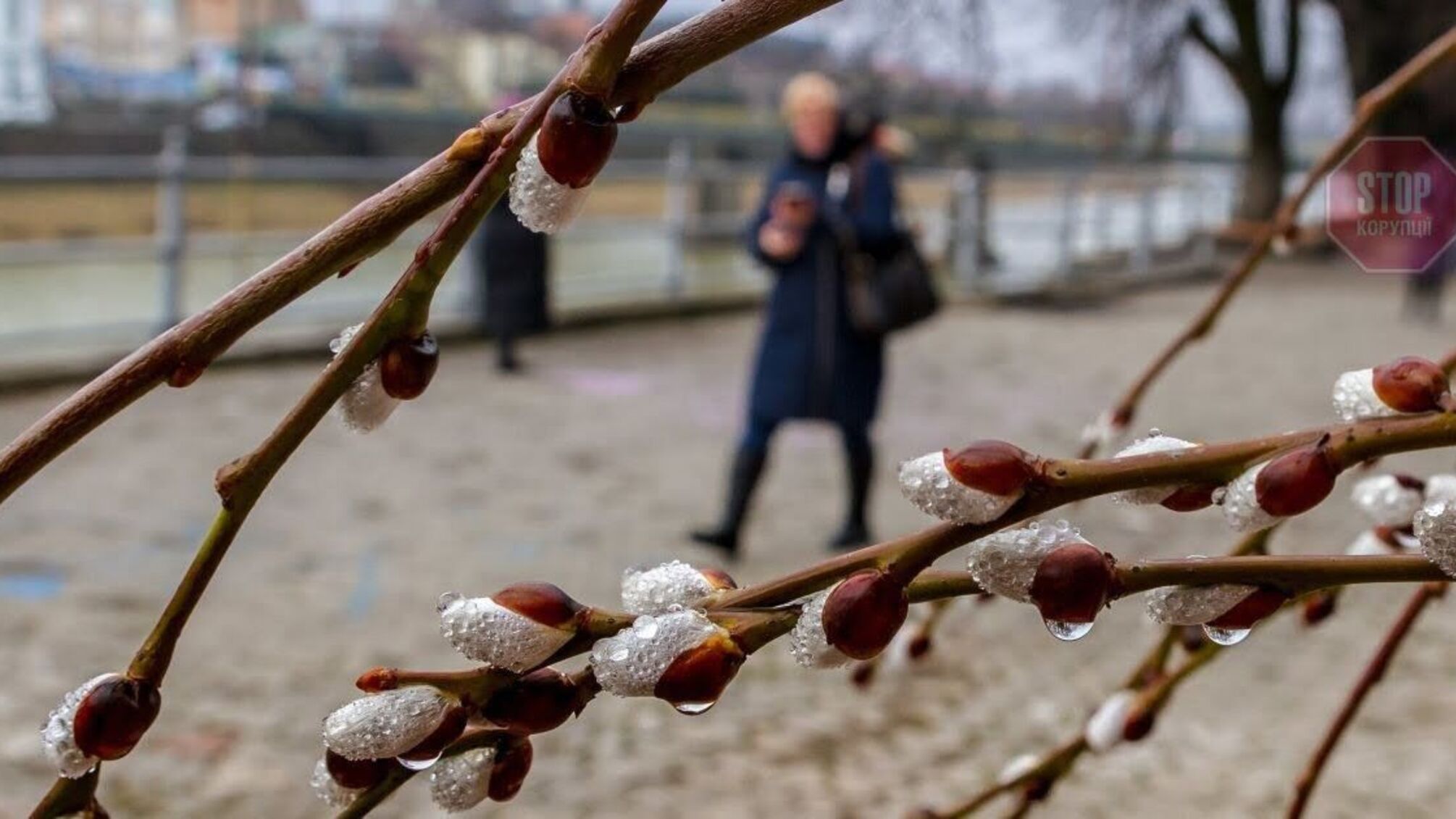Прогноз погоди на вихідні 19–20 лютого: по всій Україні по-весняному тепло