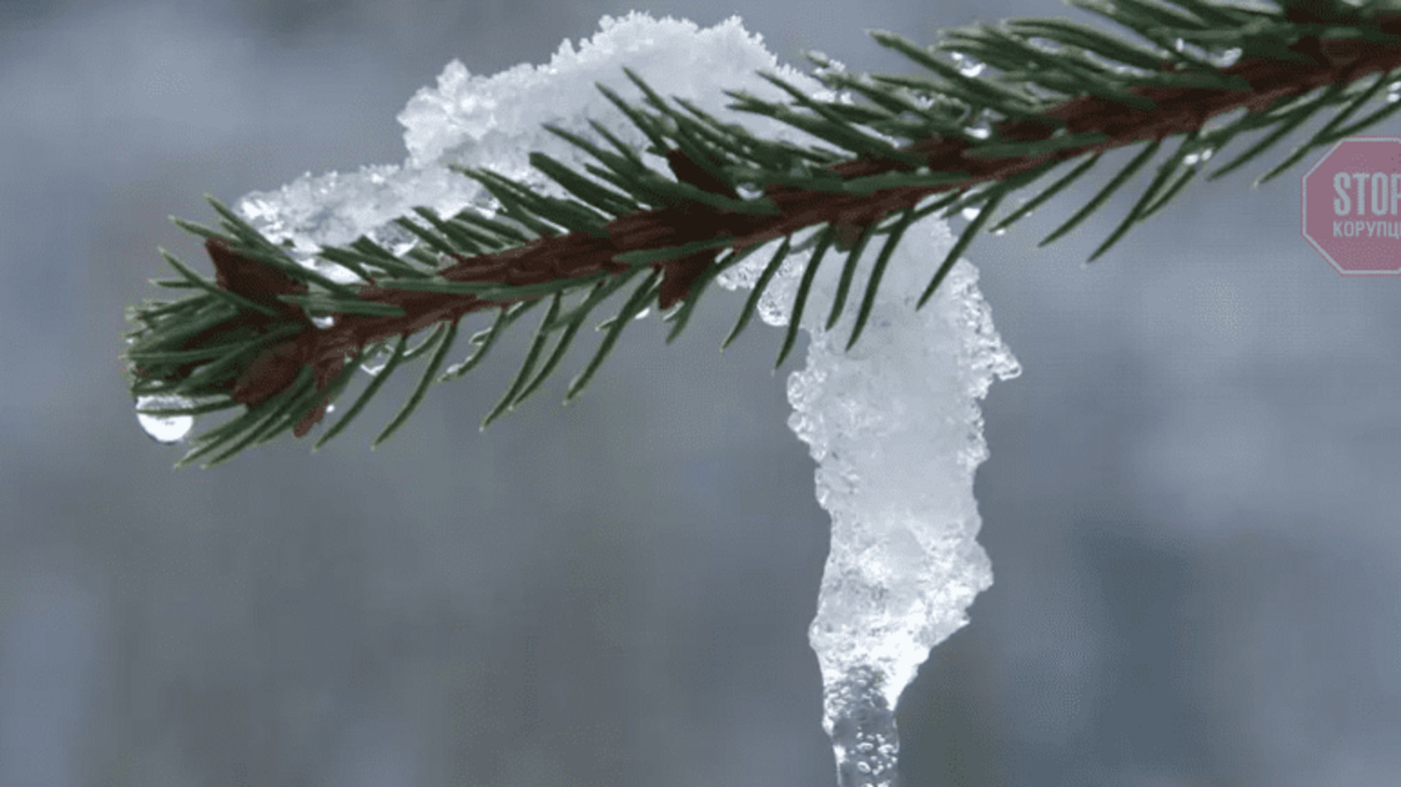 Прогноз погоды на выходные 12–13 февраля: весна уже близко