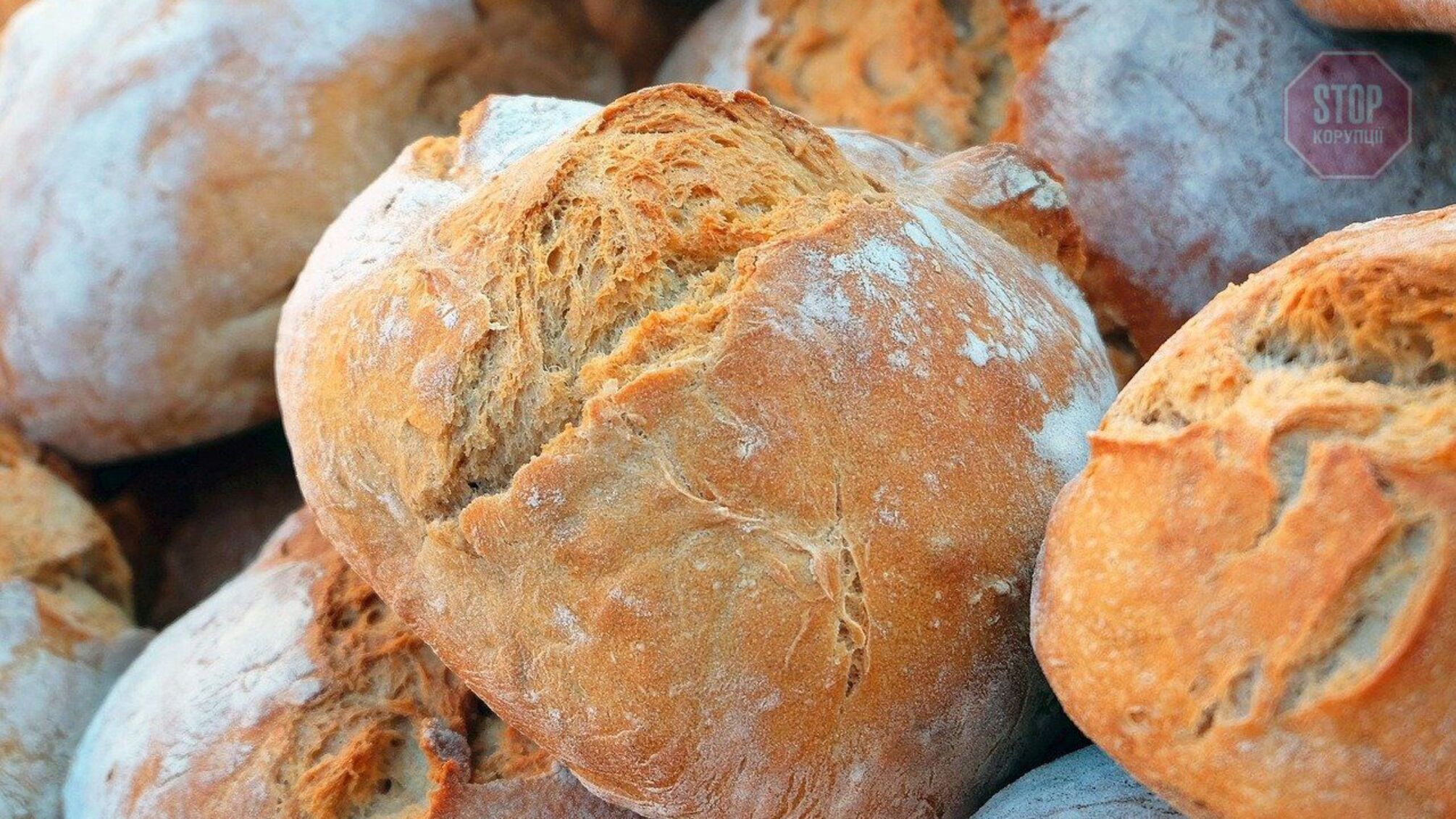 РФ накладає мораторій на підвищення вартості хлібу