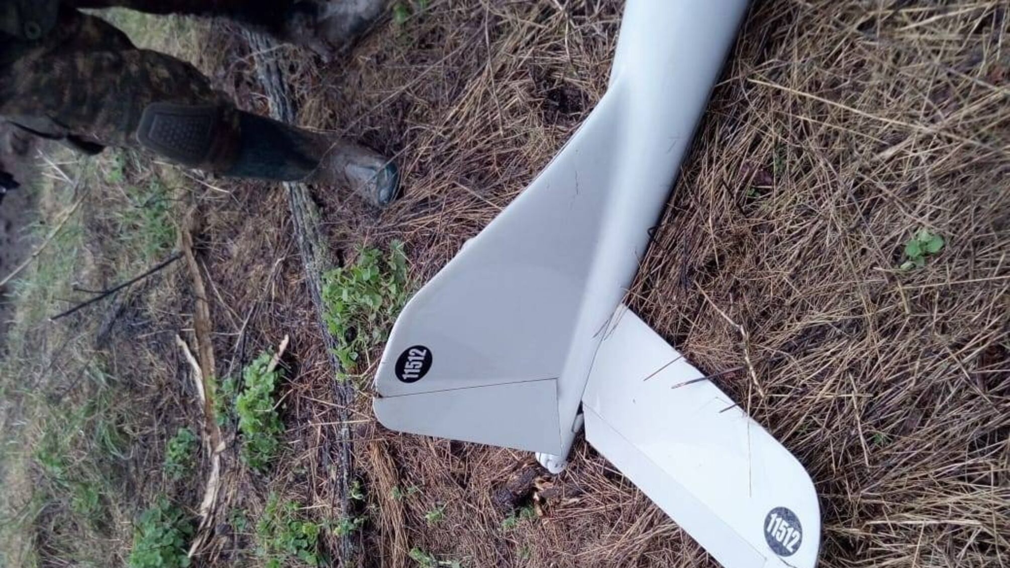 беспилотник трава