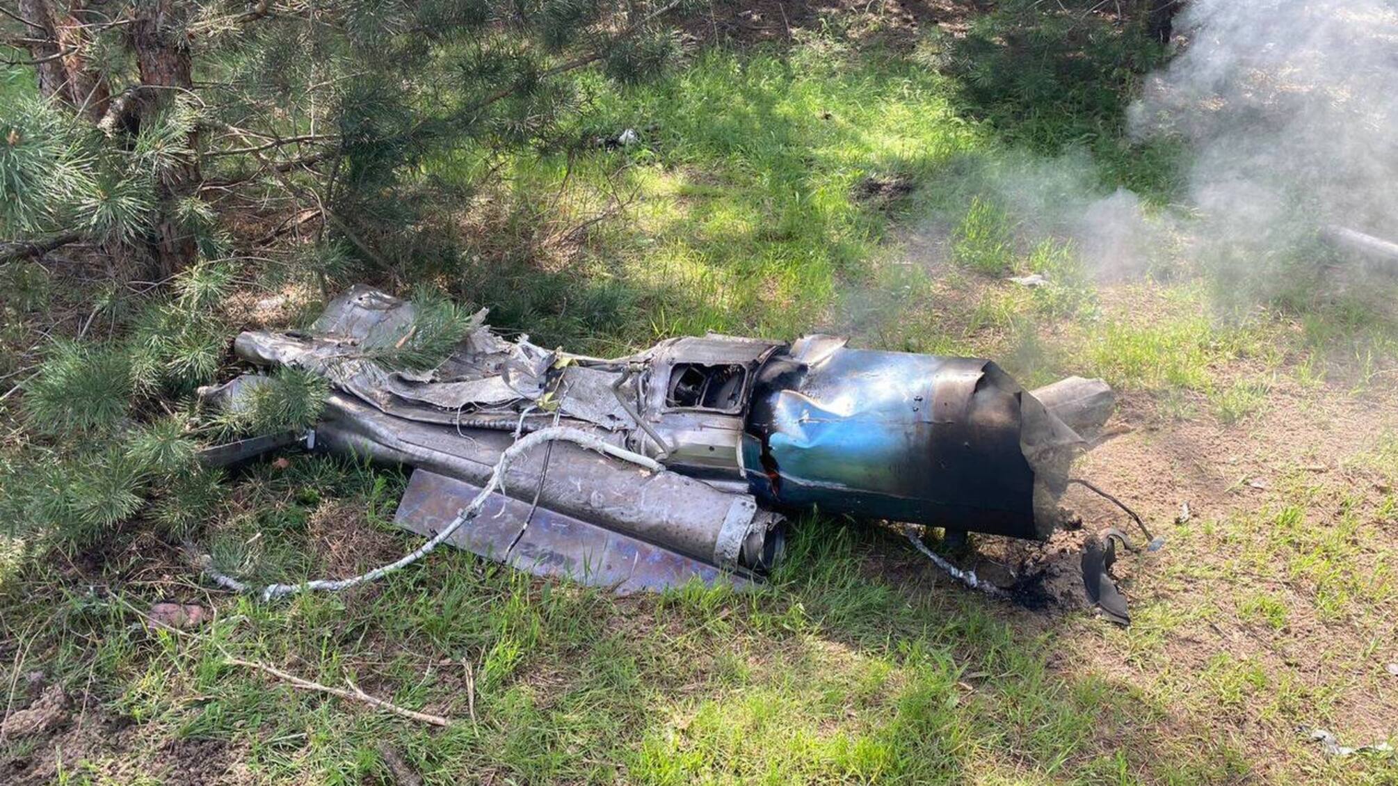 В Днепропетровской области сбили российскую ракету (фото)