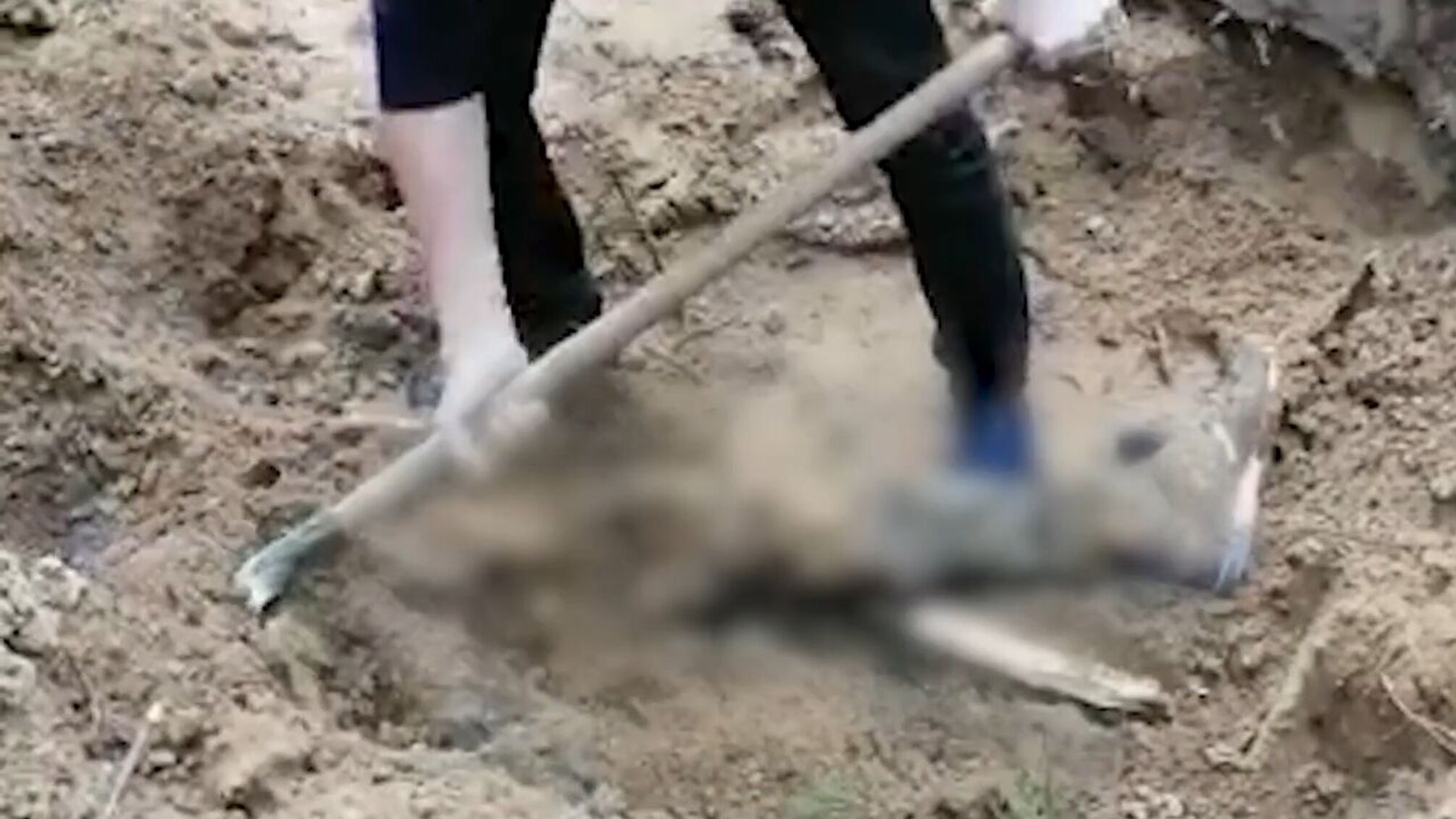 мужчина лопата