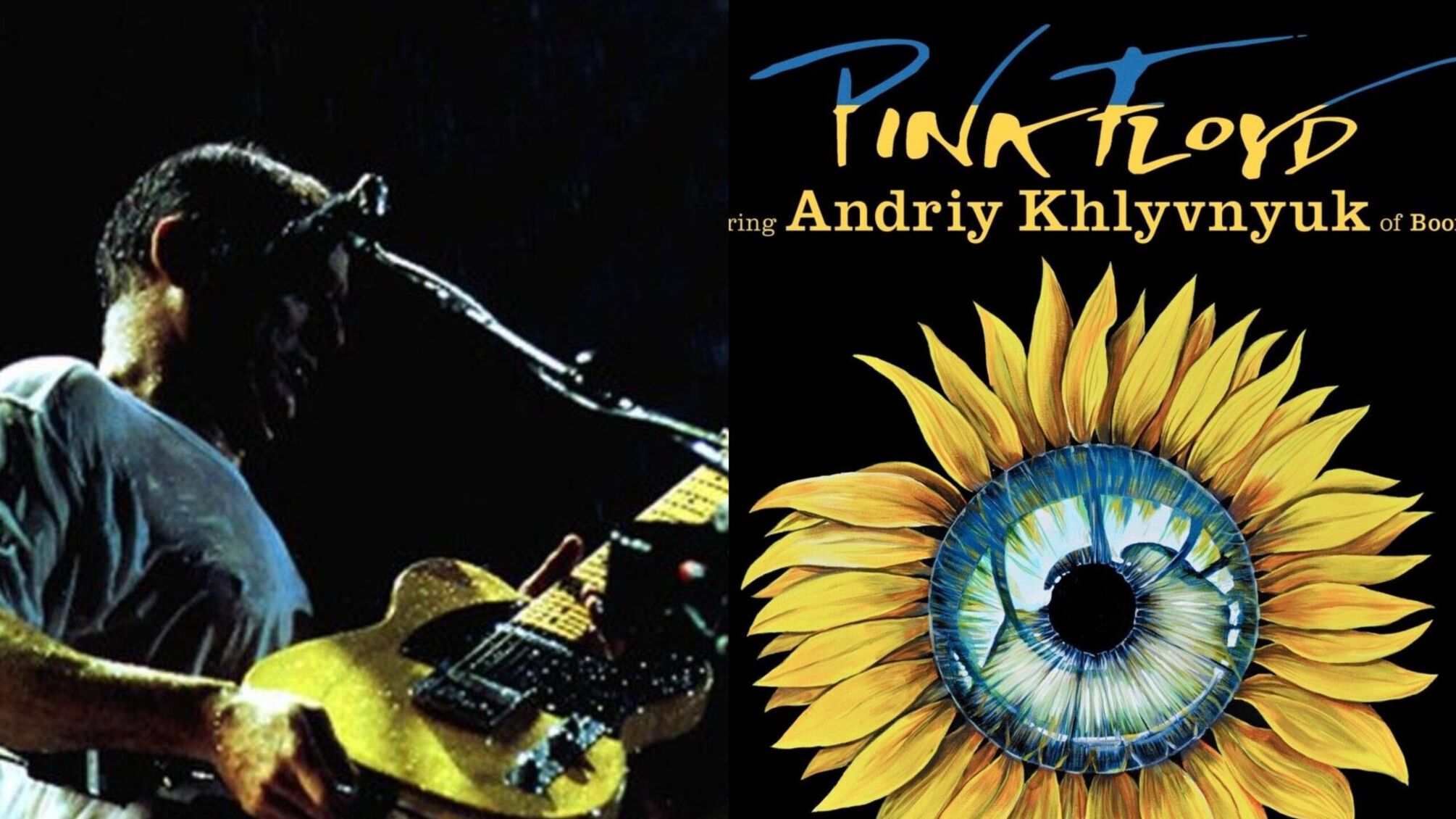 Соняшник око гітарист