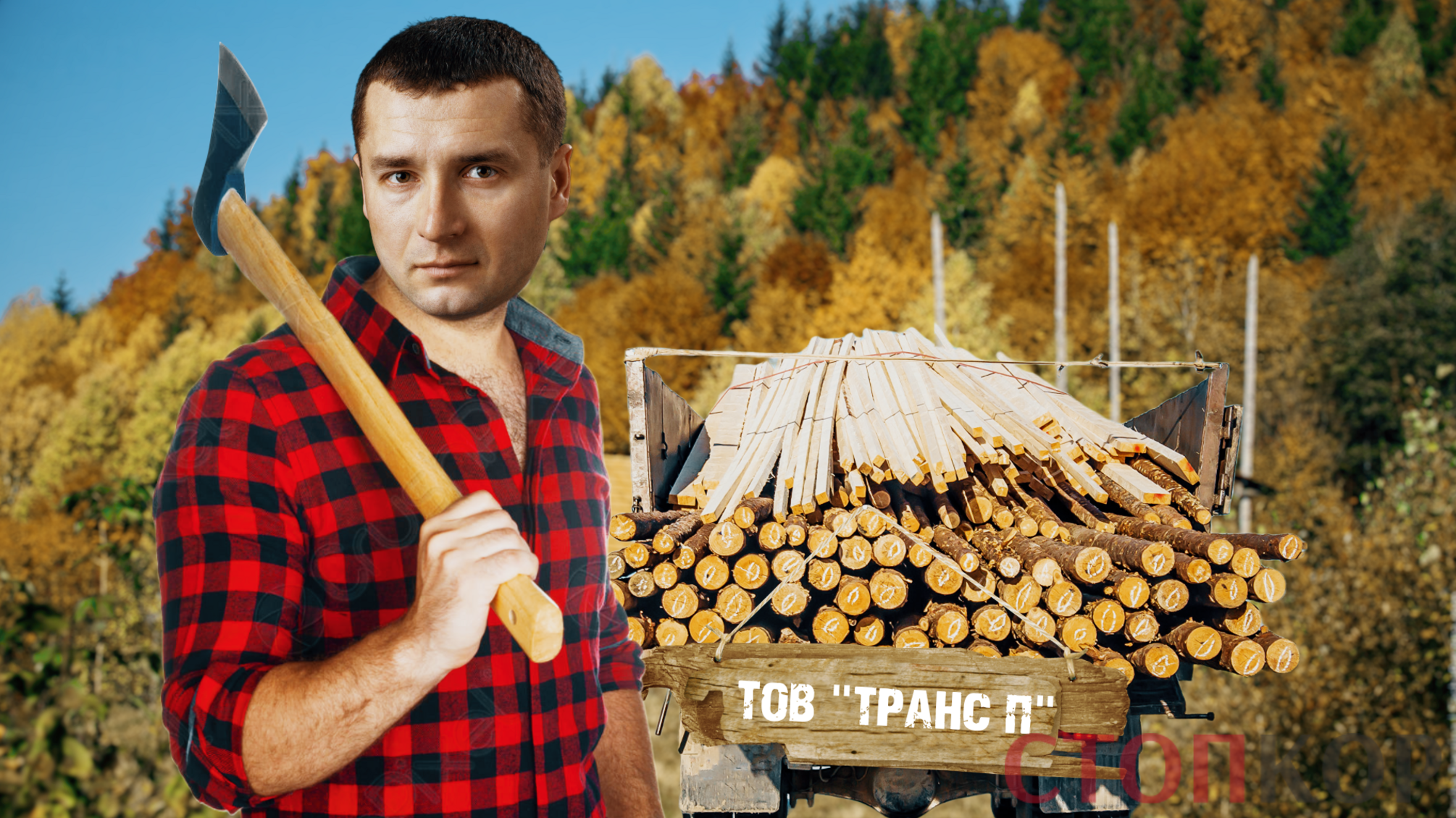 Нагрели бюджет на 160 млн: глава Гослесагентства Болоховец покрывает распродажу карпатского леса?