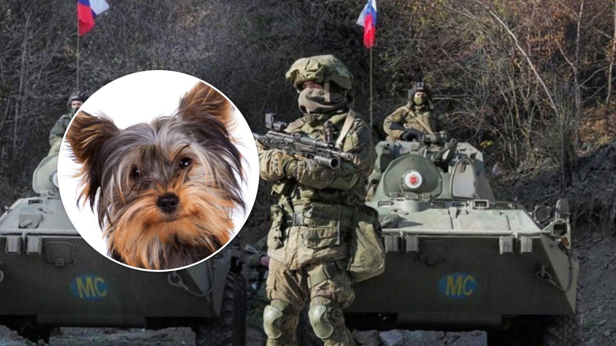 СБУ: росіяни на Херсонщині голодують – ловлять собак і їдять їх
