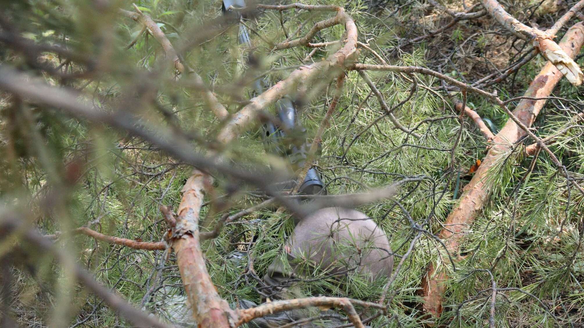 разведка за работой