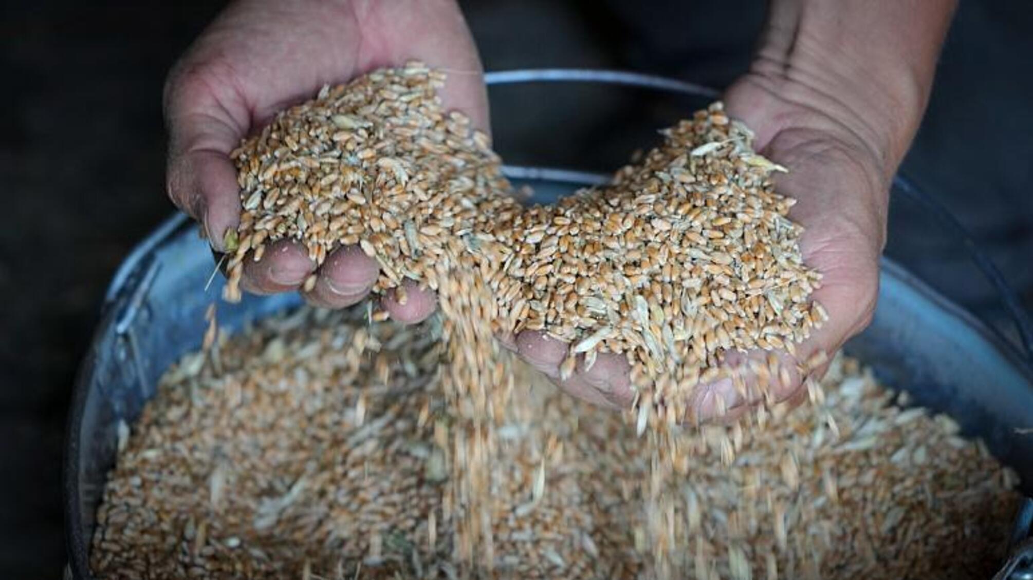 Адская жатва: аграрии Николаевщины готовятся к сбору урожая под обстрелами рф