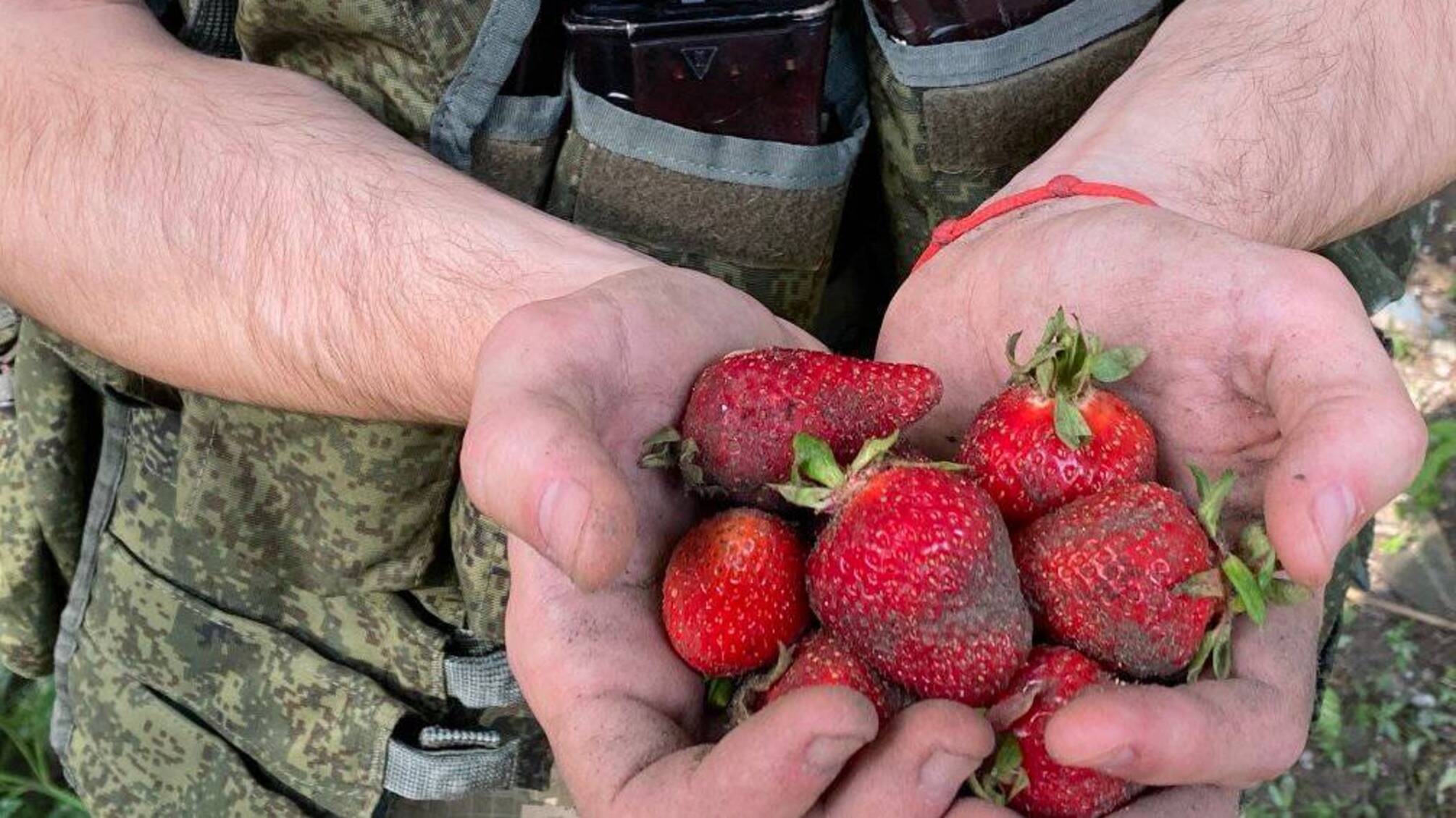 полуниця військовий ріжки для магазину