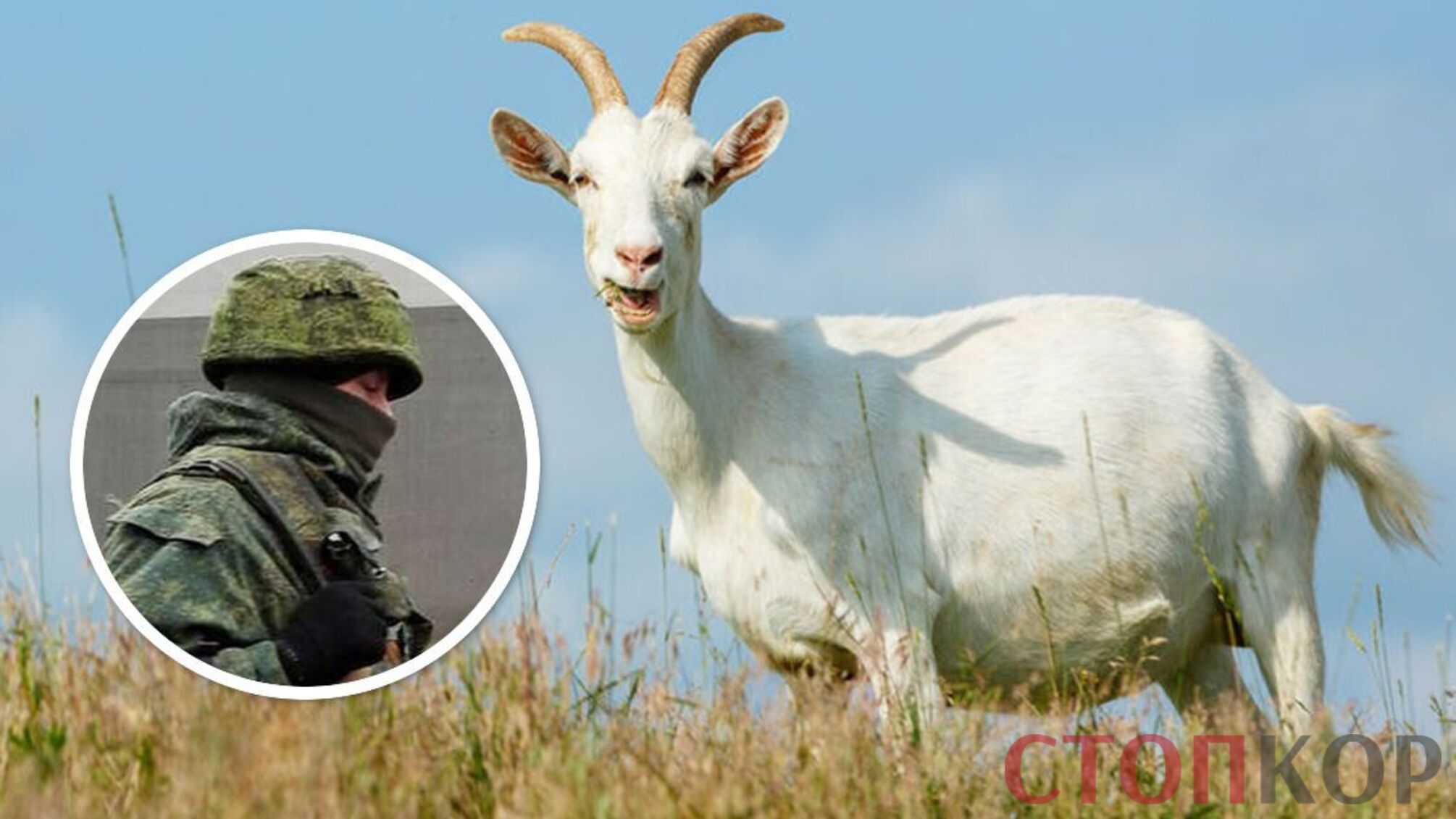 коза російський солдат
