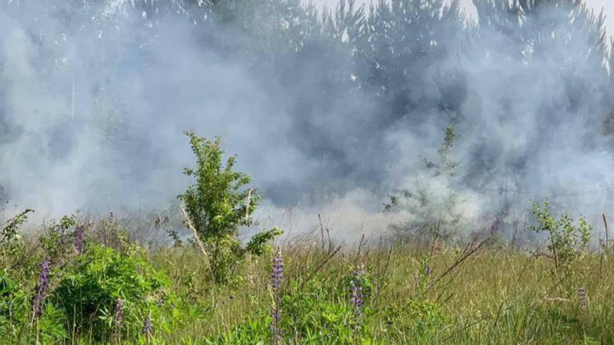 границу Сумщины