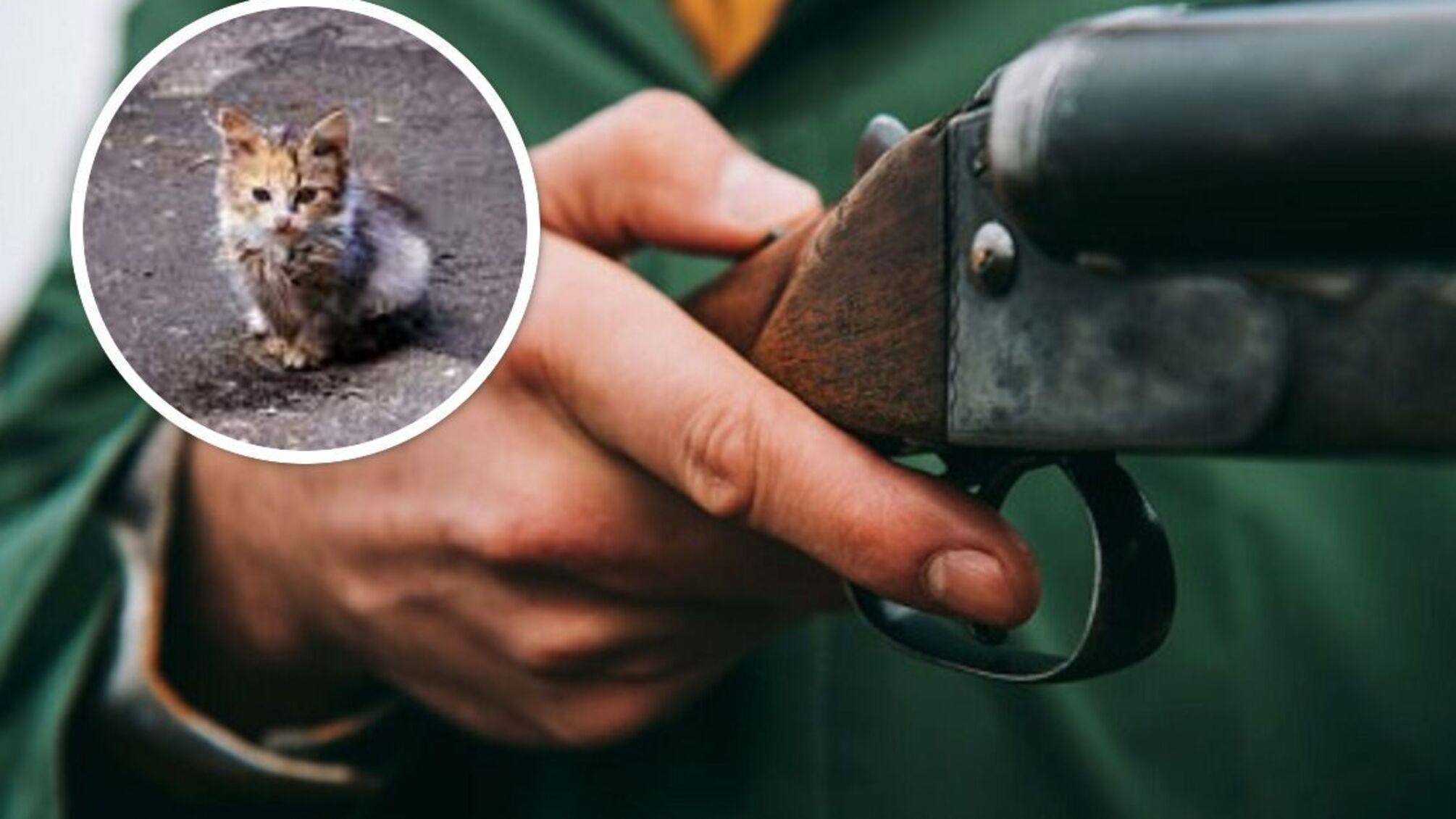 В Одессе живодер застрелил кошку: у него изъяли целый арсенал оружия