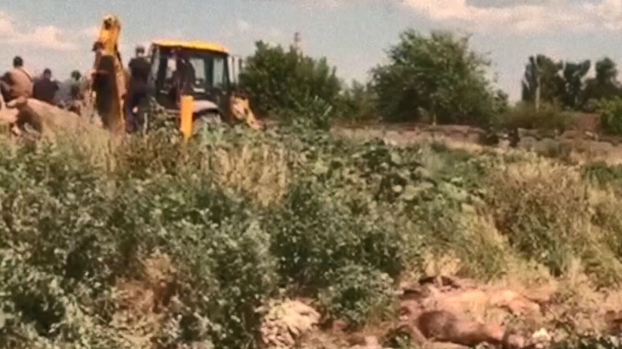 экскаваторы