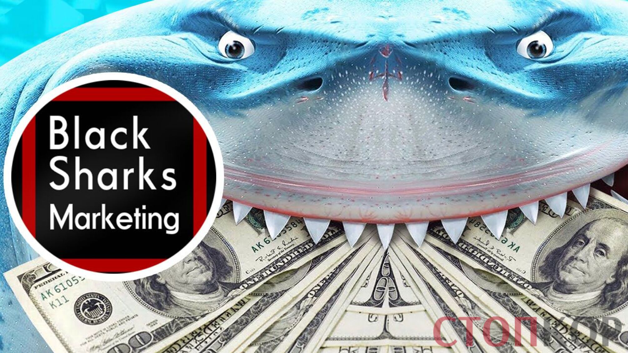 'Чорні акули', що поїдають ваші кошти: у Києві викрито чергових фінансових шахраїв