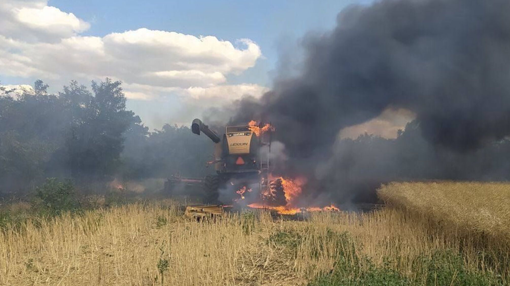 комбайн поле пожежа