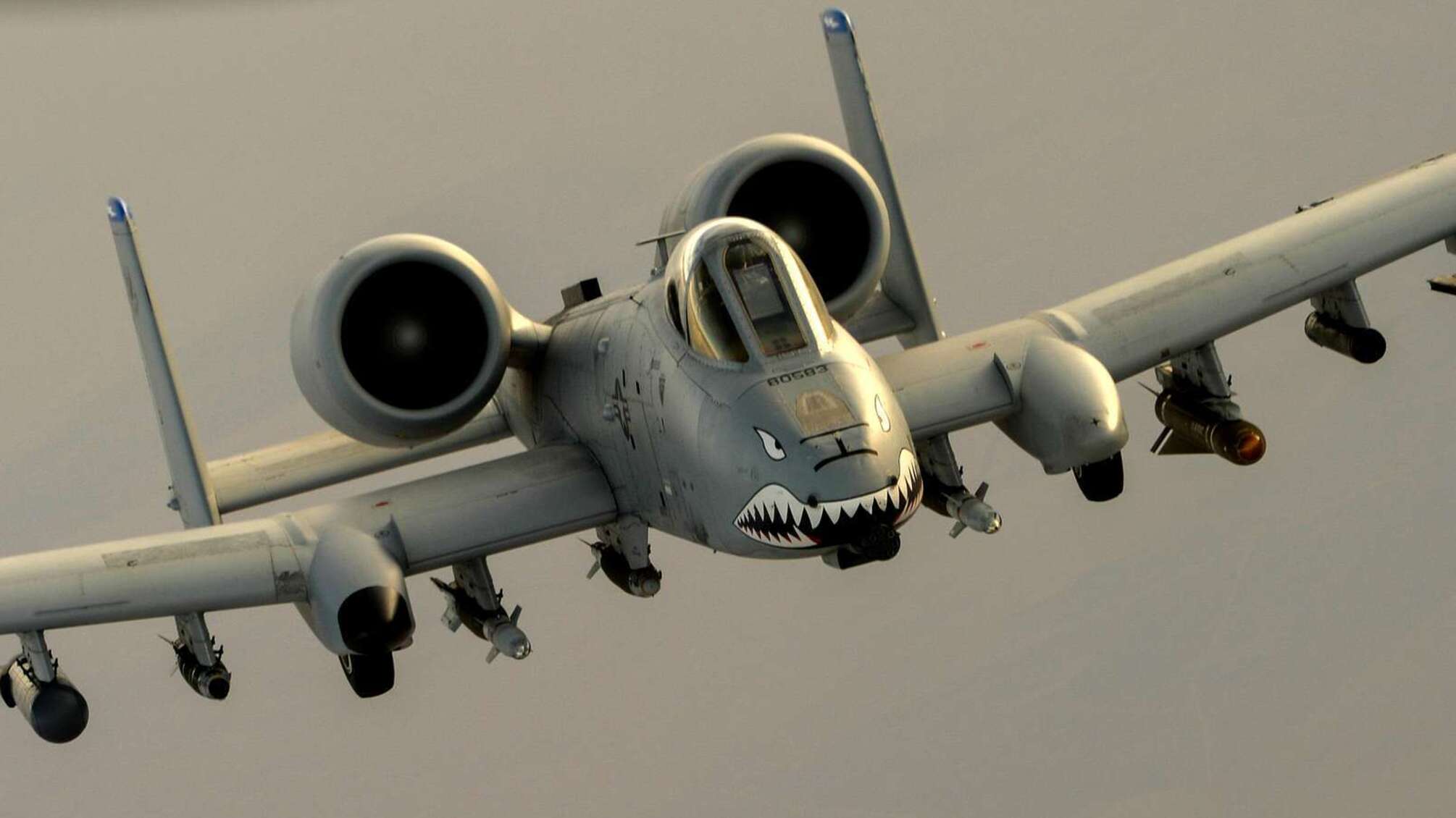 літак A-10 Warthog