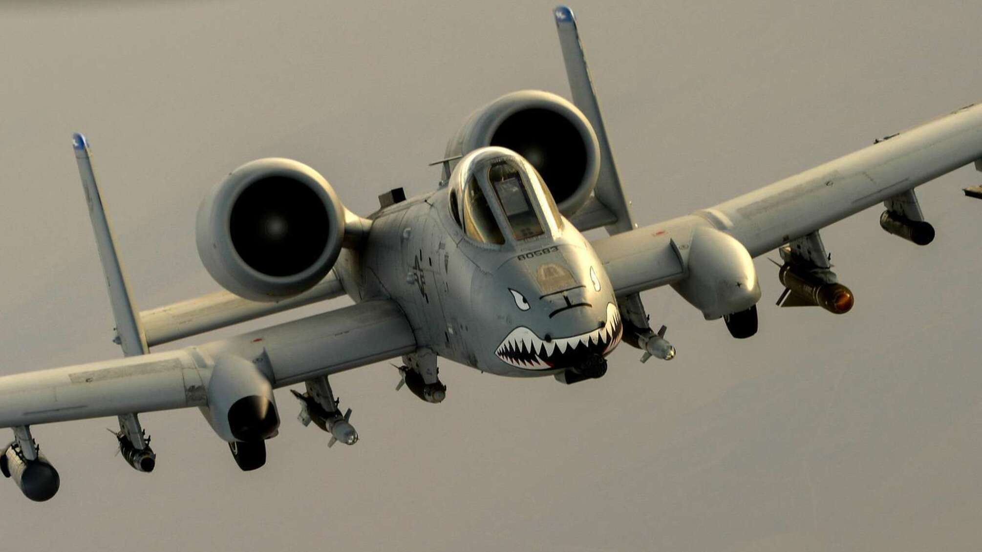 NYT: США рассматривают возможность предоставления Украине штурмовиков A-10 Warthog и обучение пилотов
