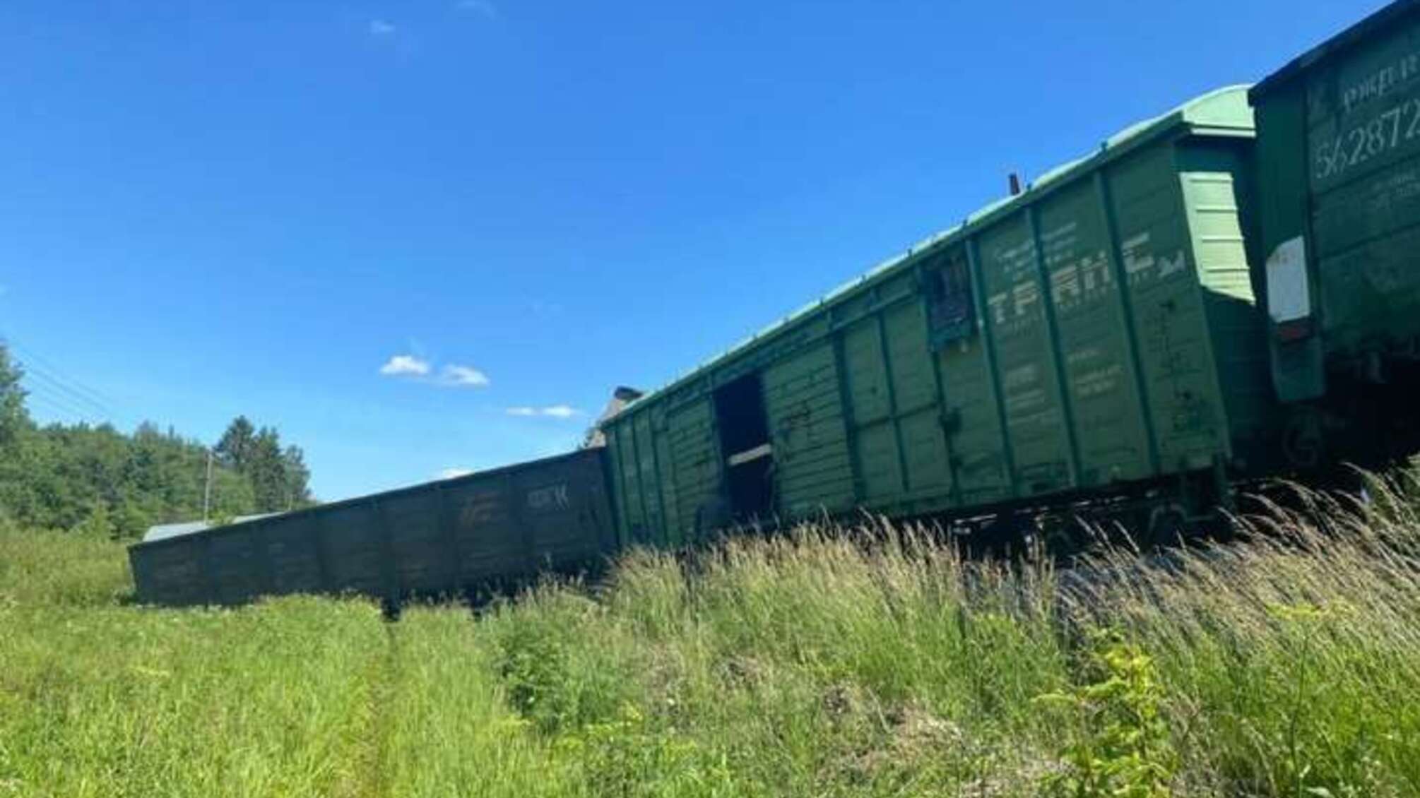 в росії з рейок зійшов потяг