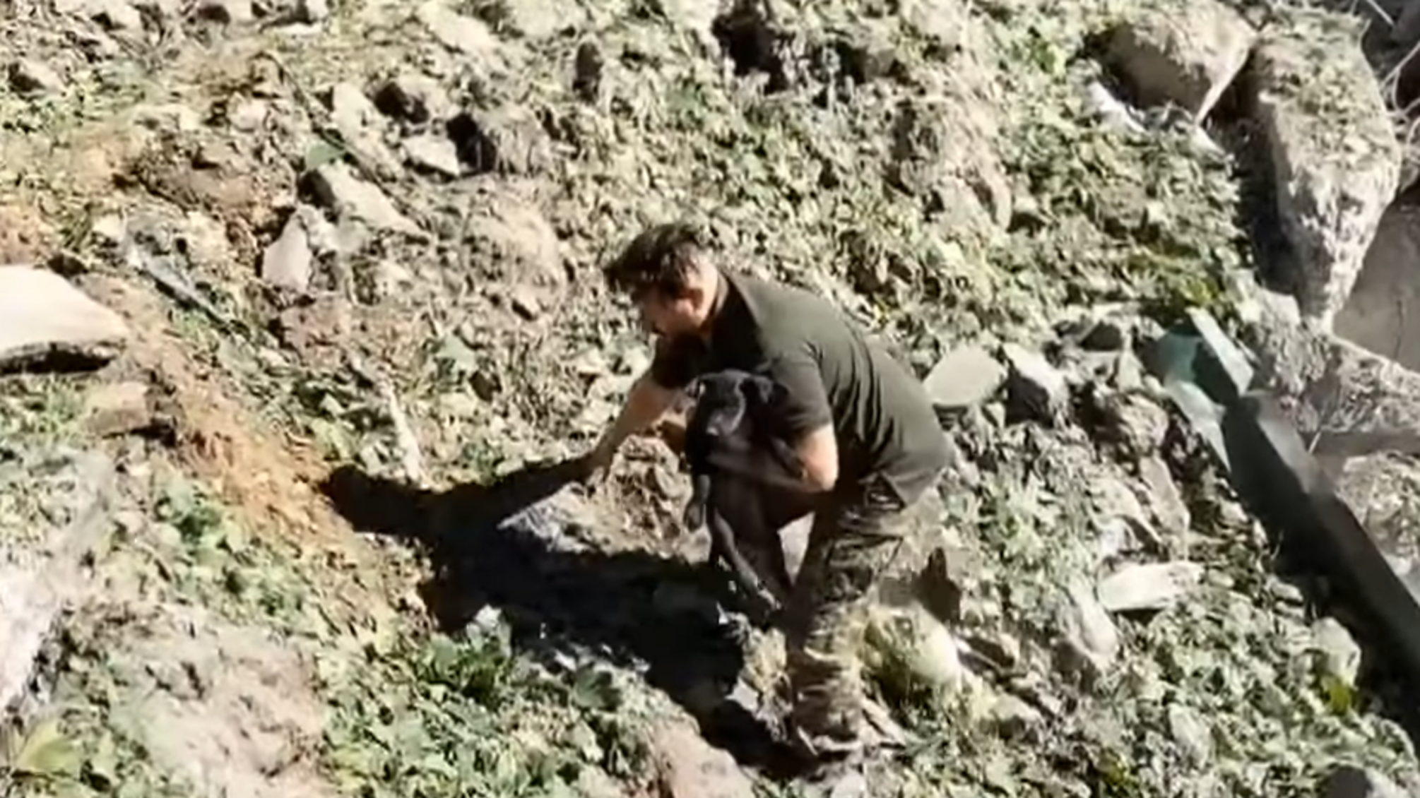 порятунок щеня